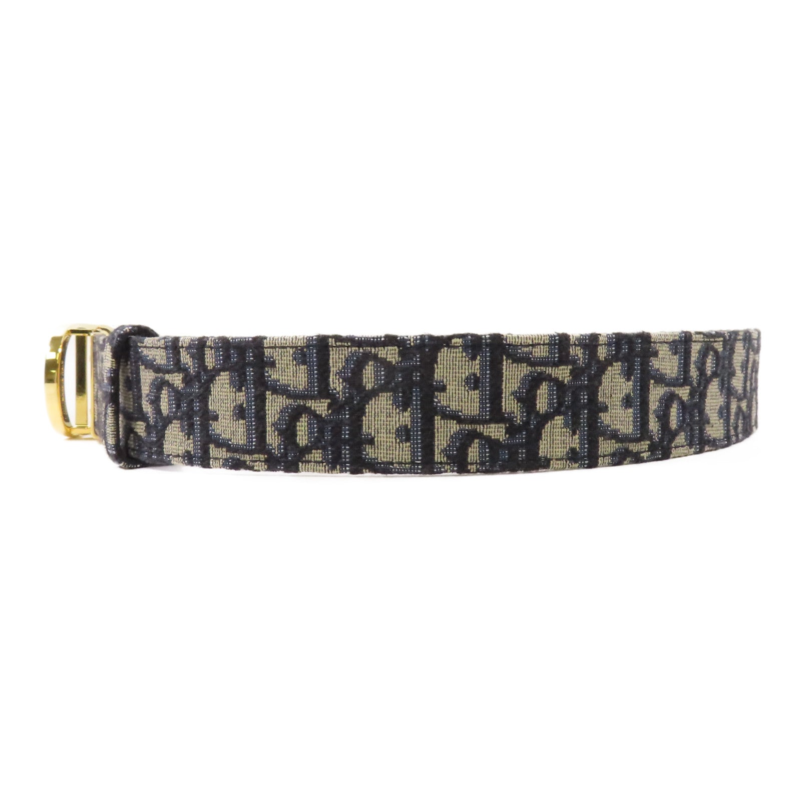 Dior 帆布Saddie Belt金扣皮帶