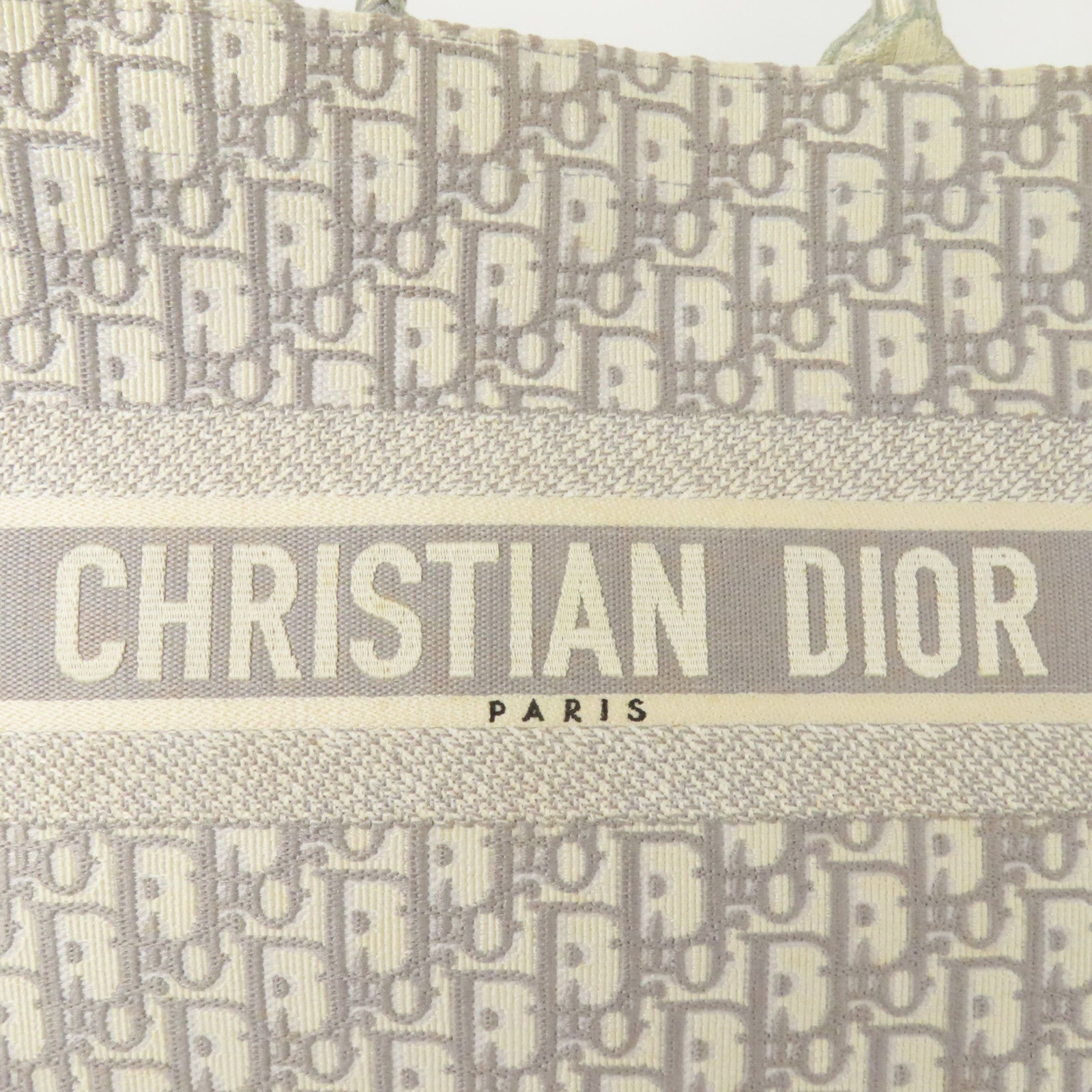 Dior 帆布Book Tote Medium手挽袋