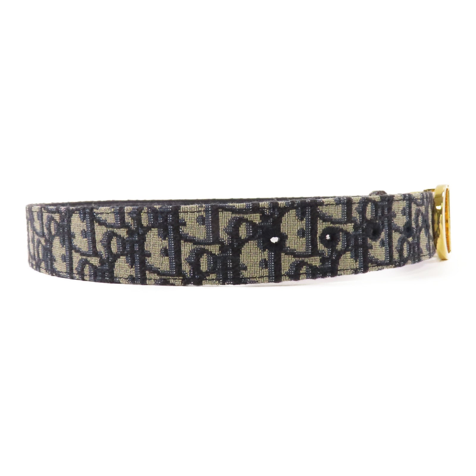 Dior 帆布Saddie Belt金扣皮帶