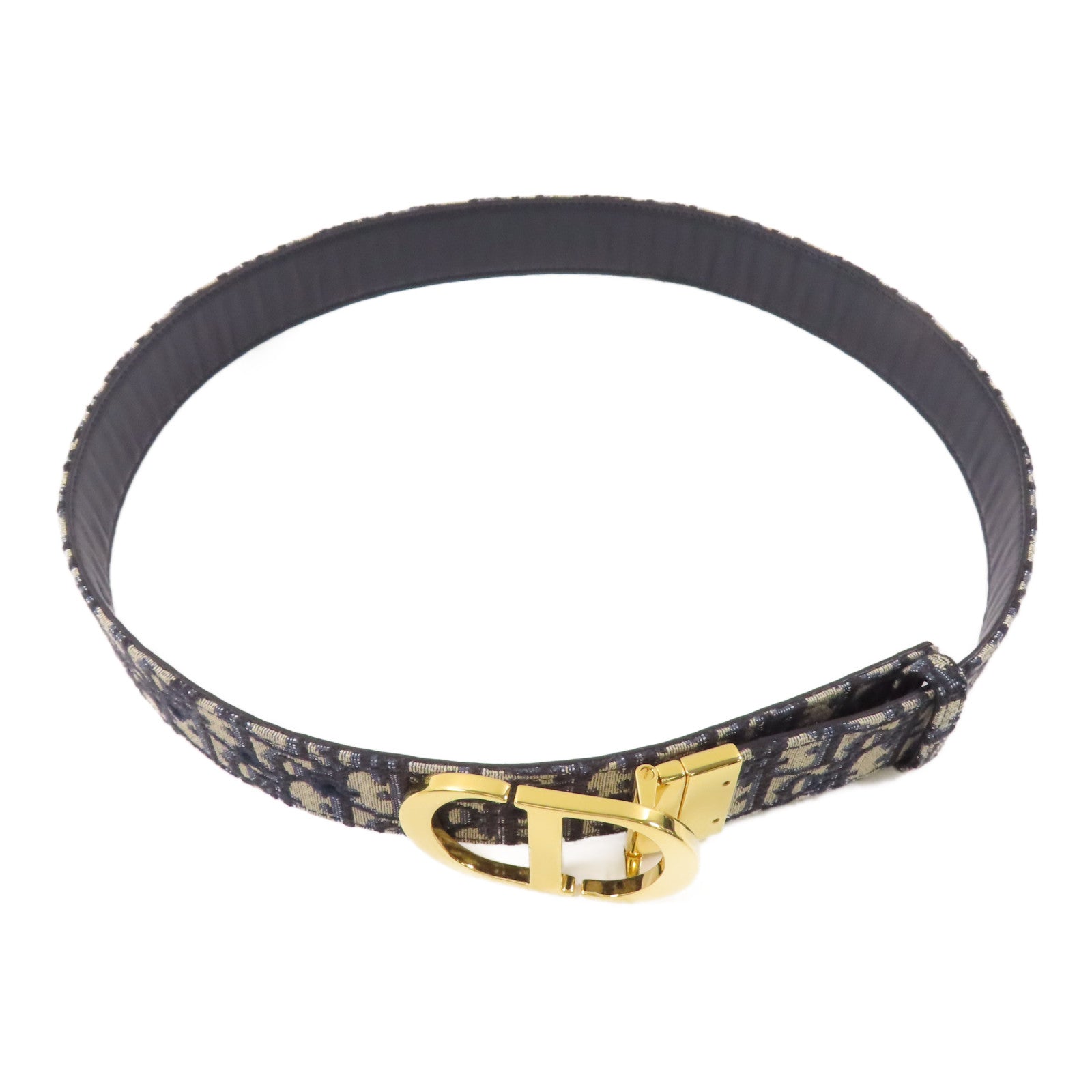Dior 帆布Saddie Belt金扣皮帶