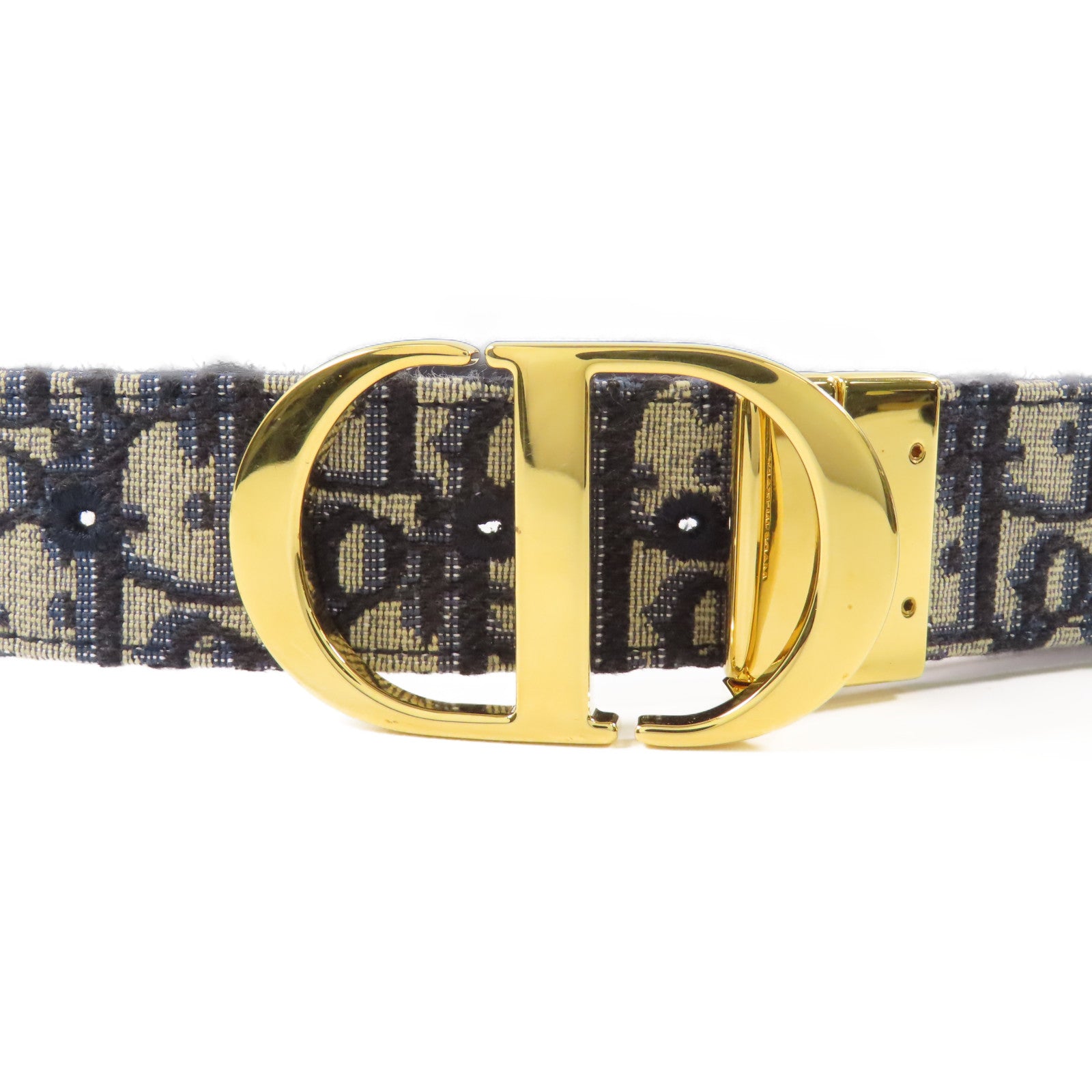 Dior 帆布Saddie Belt金扣皮帶