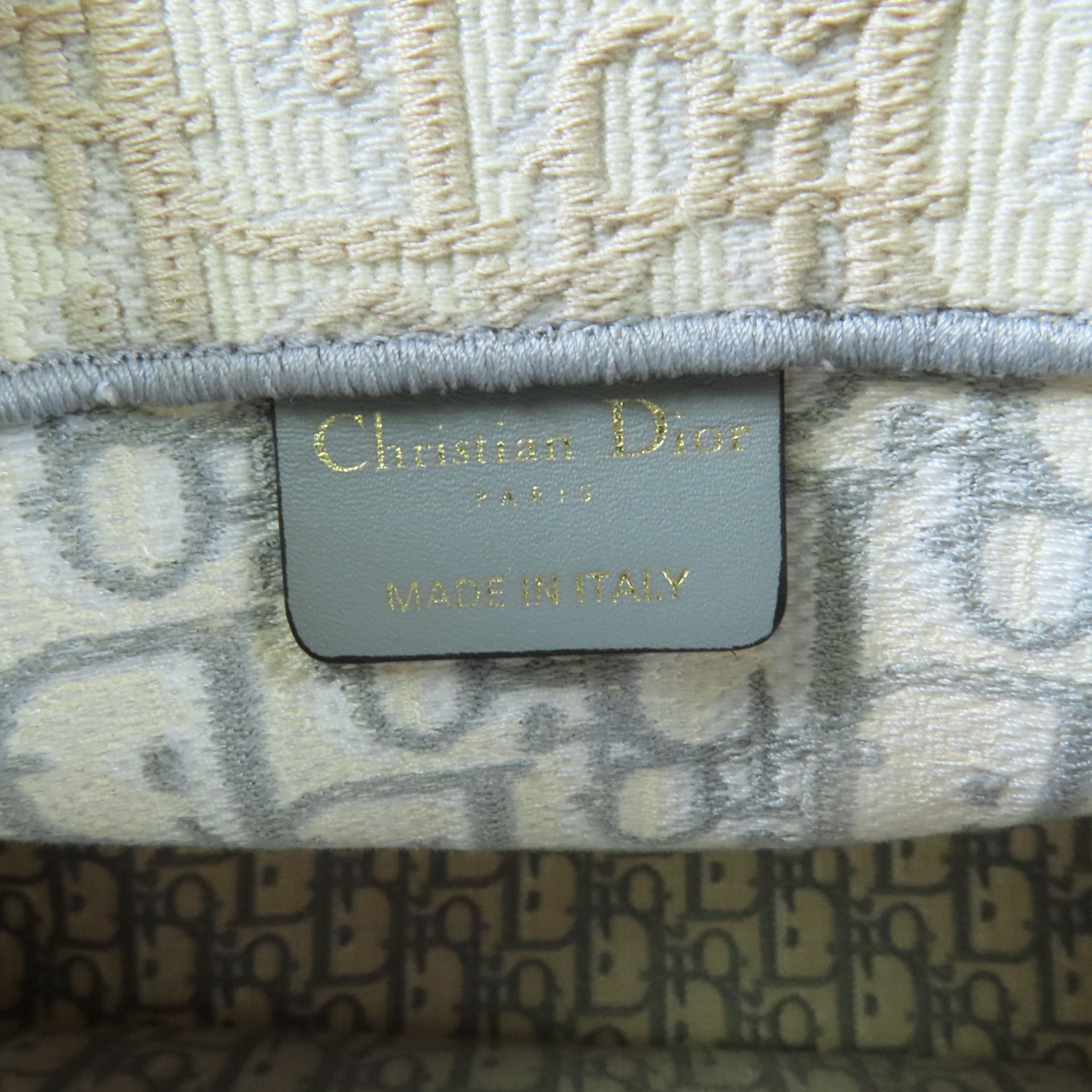 Dior 帆布Book Tote Medium手挽袋