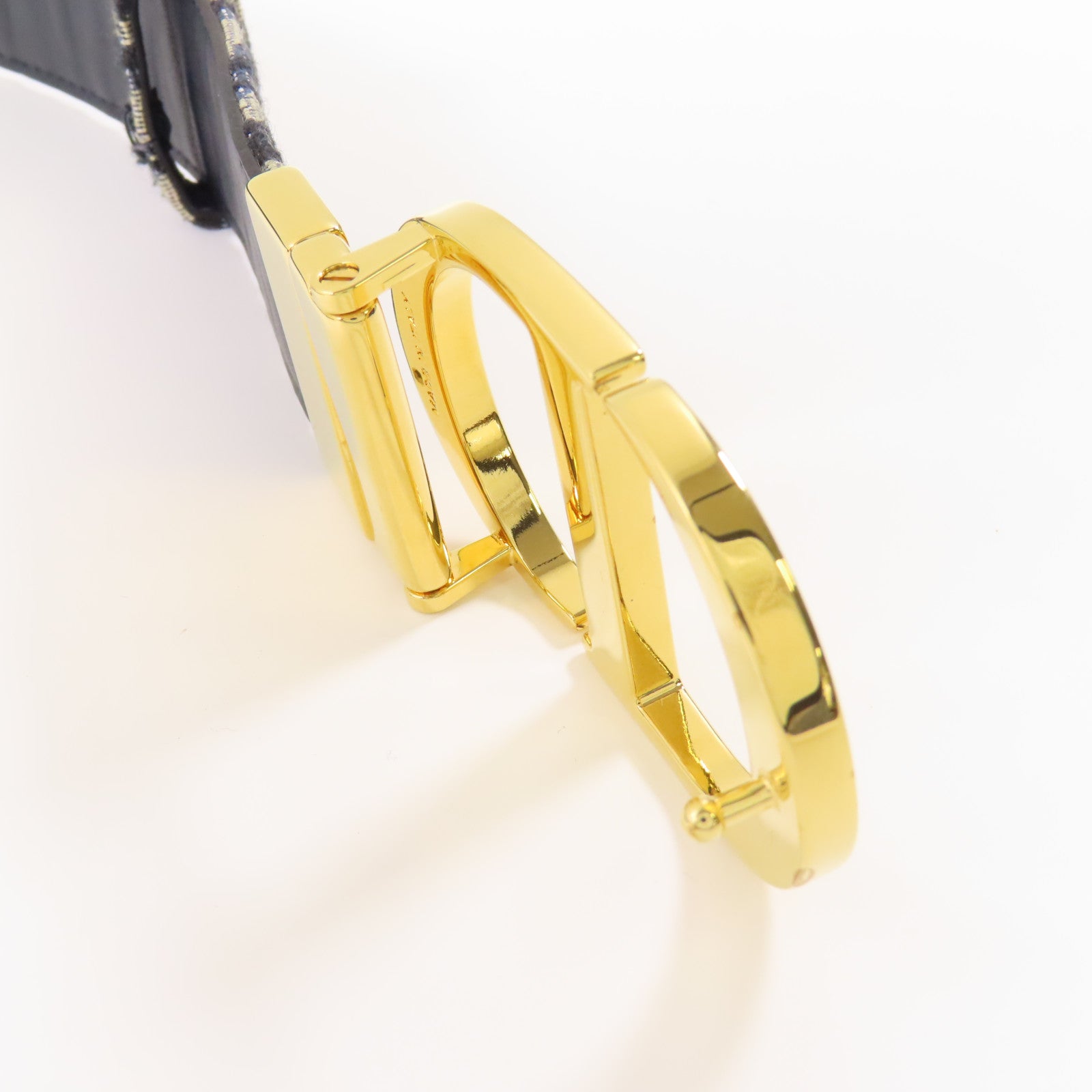 Dior 帆布Saddie Belt金扣皮帶