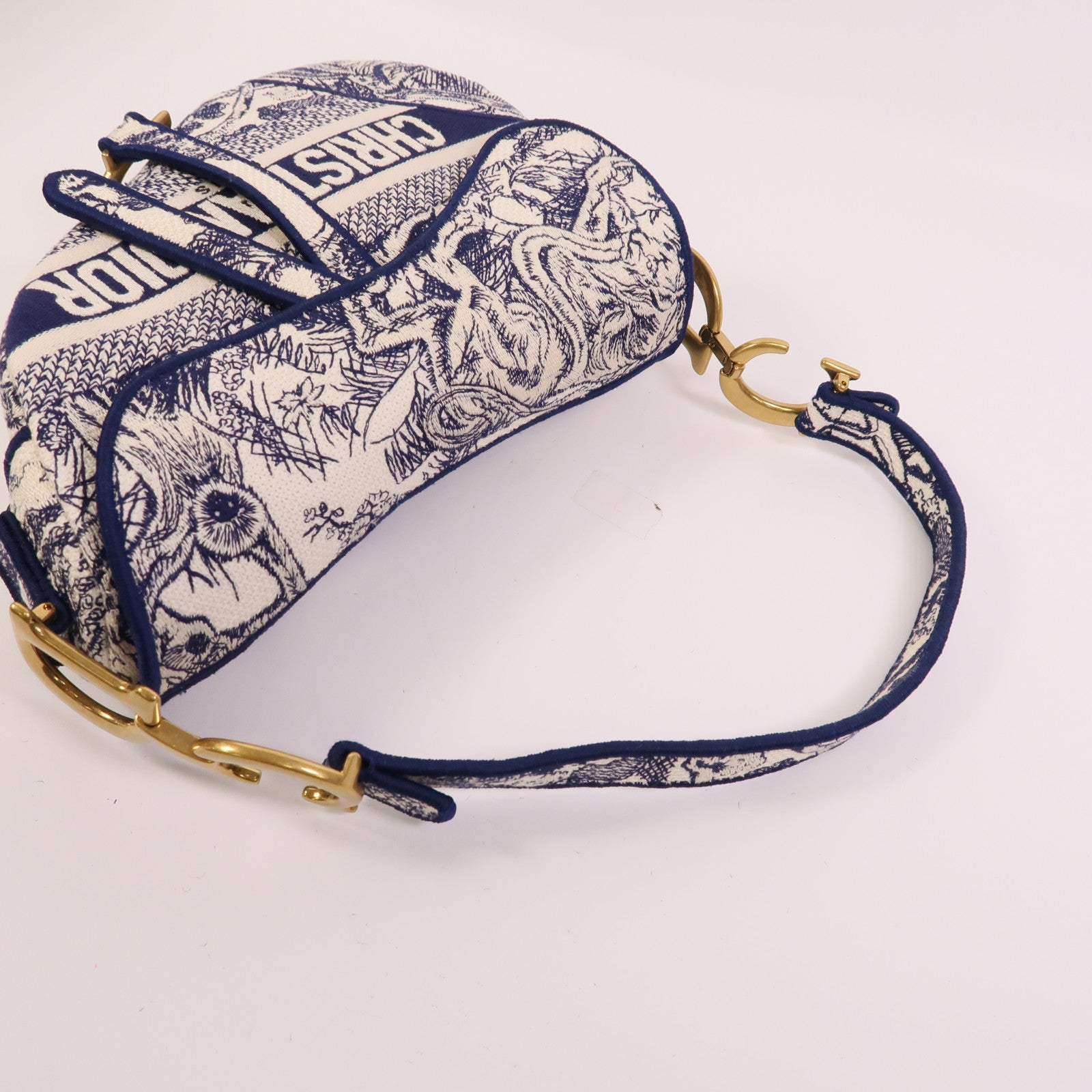 Dior 帆布Saddle手挽袋