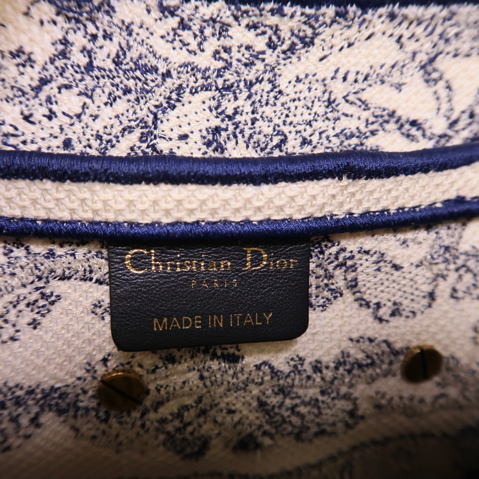 Dior 帆布Saddle手挽袋