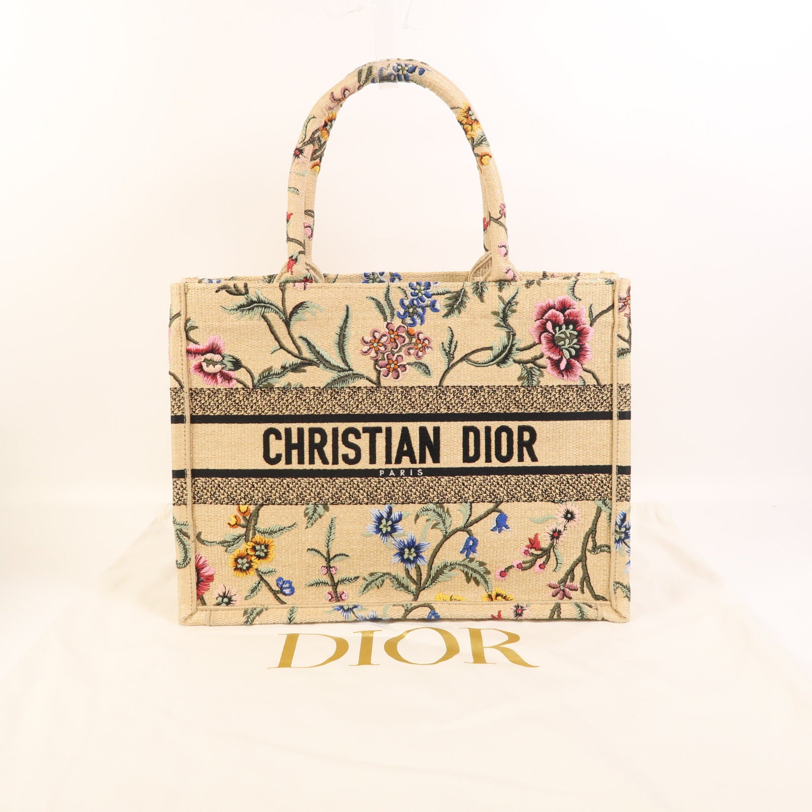 Dior 帆布Book Tote Medium手挽袋