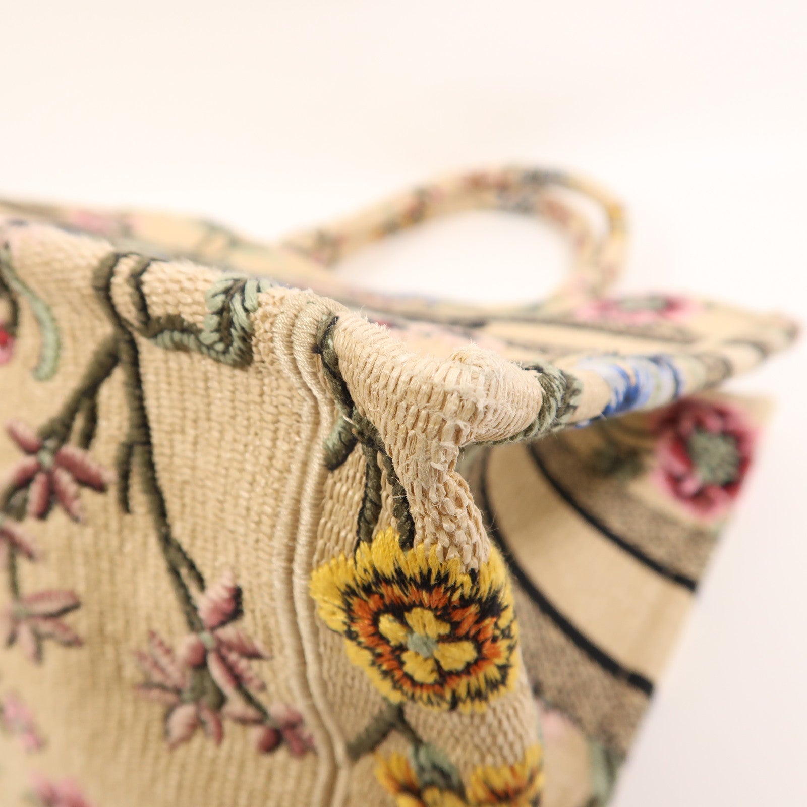 Dior 帆布Book Tote Medium手挽袋