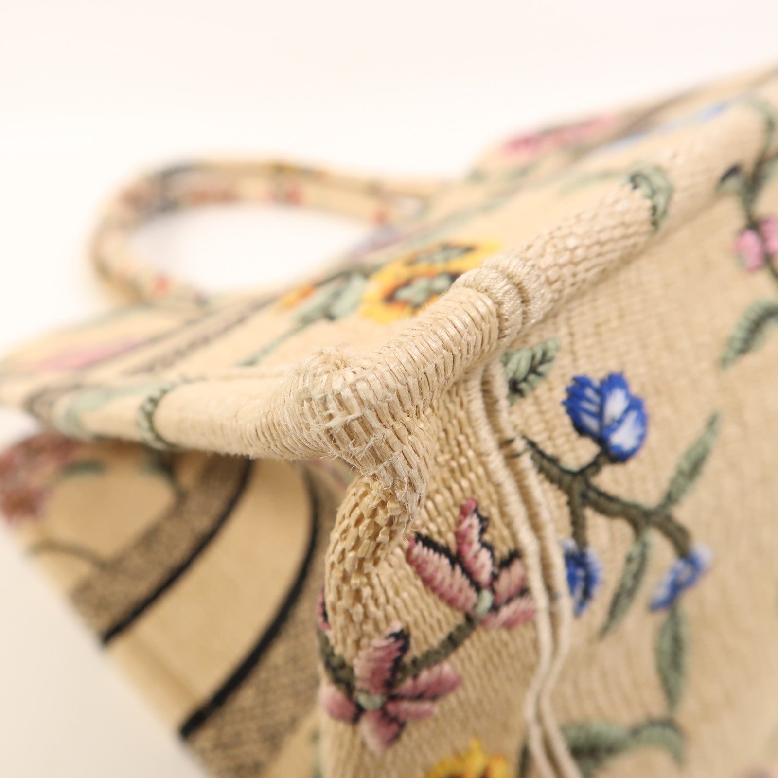 Dior 帆布Book Tote Medium手挽袋