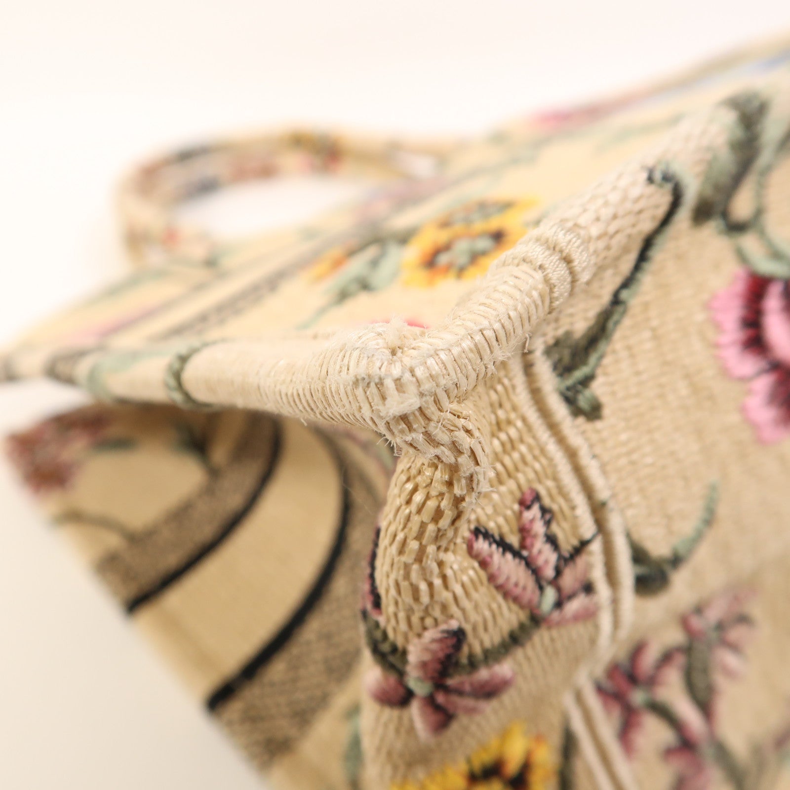 Dior 帆布Book Tote Medium手挽袋