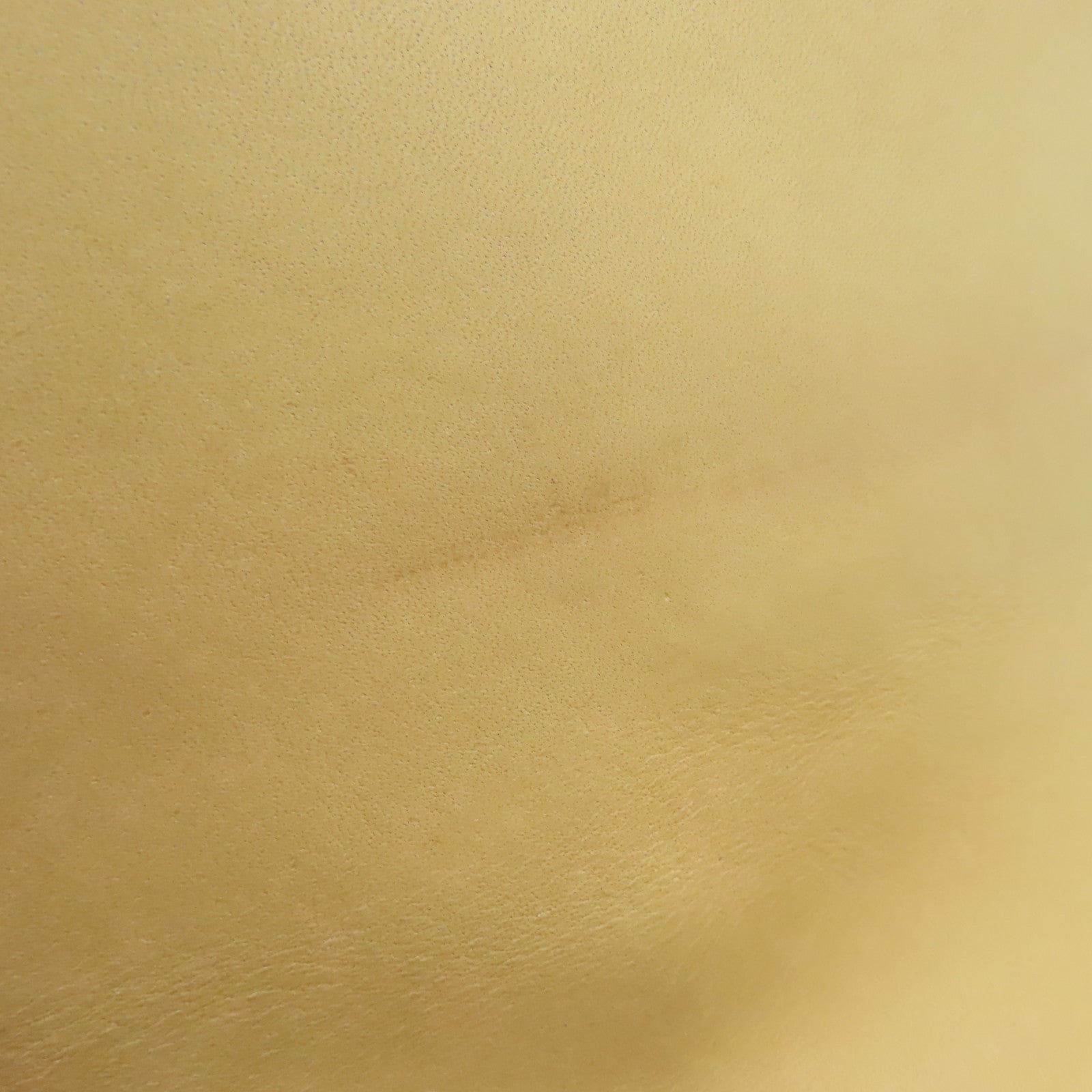LOUIS VUITTON 【激減優惠】Monogram Mini Camille金扣鏈帶肩背袋藍色