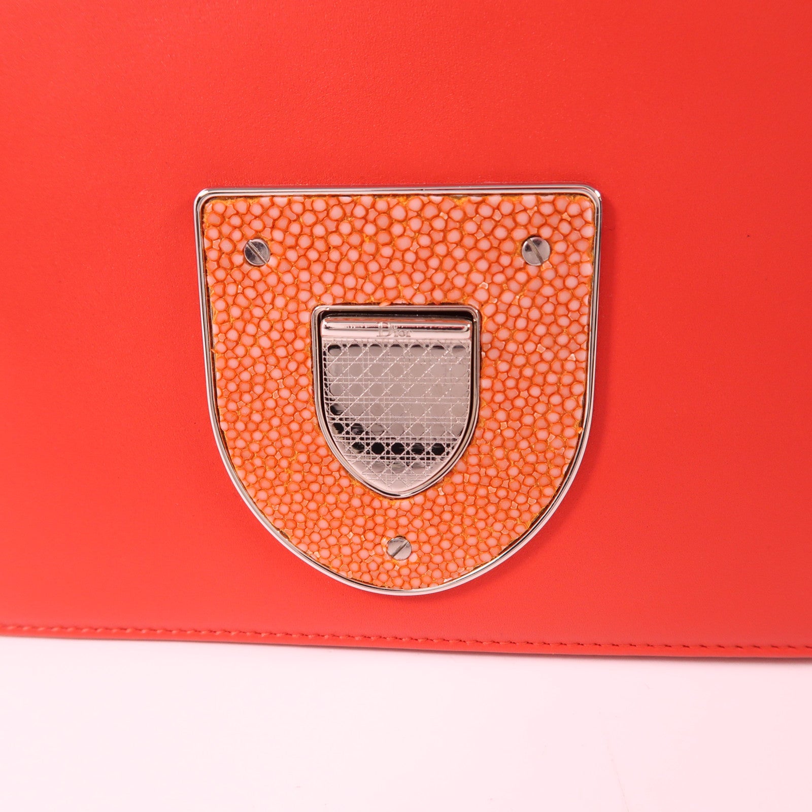 Dior 魔鬼魚皮革/牛皮皮革Chain Shoulder Bag銀扣鏈帶肩背袋