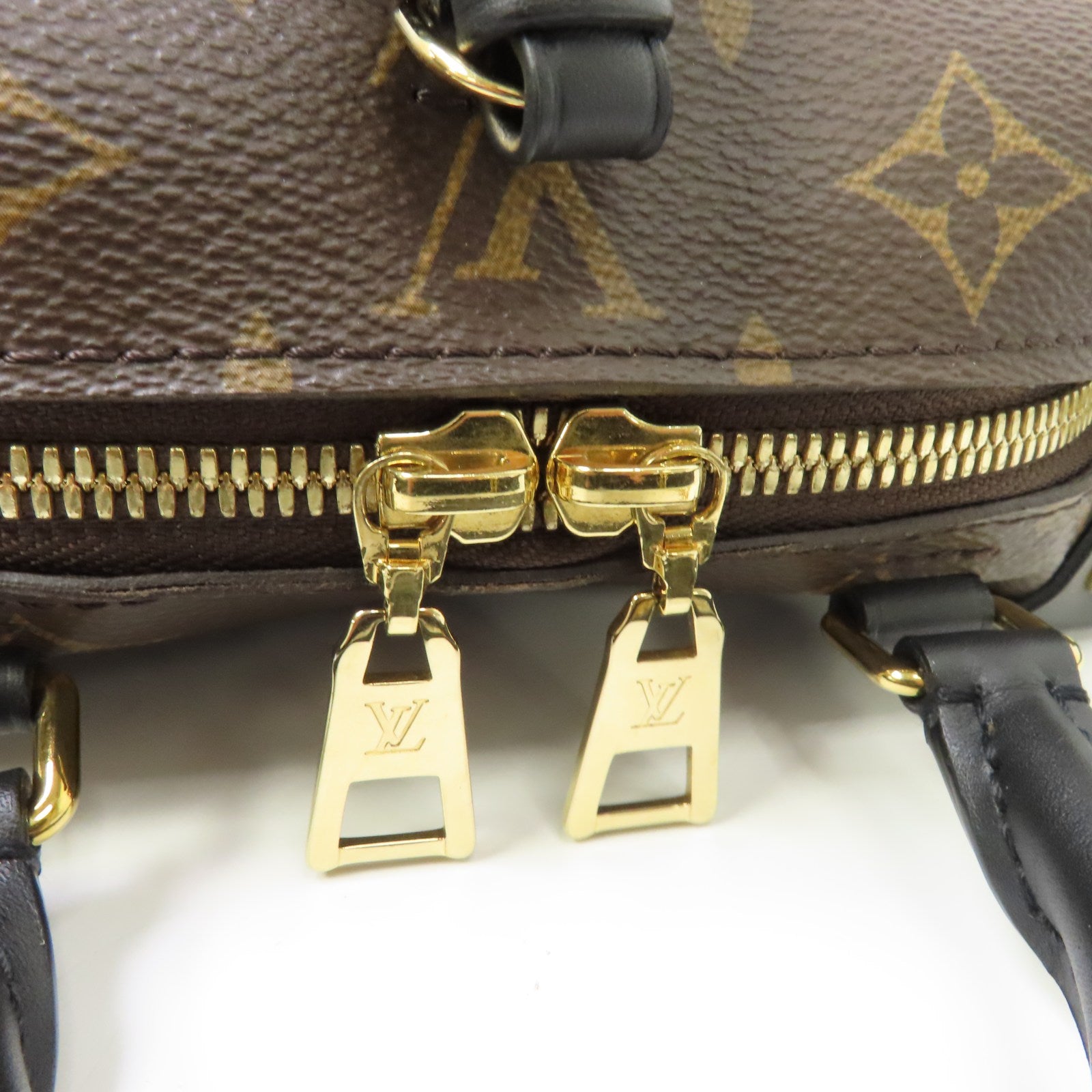 LOUIS VUITTON Monogram Petite Malle Souple金扣手挽肩背兩用袋棕色/黑色