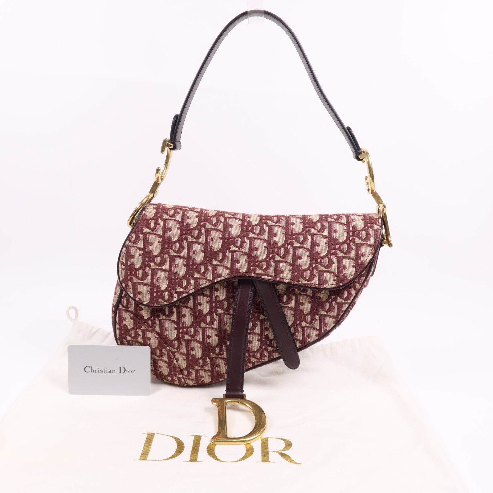 Dior 帆布Mini Saddle金扣手挽袋
