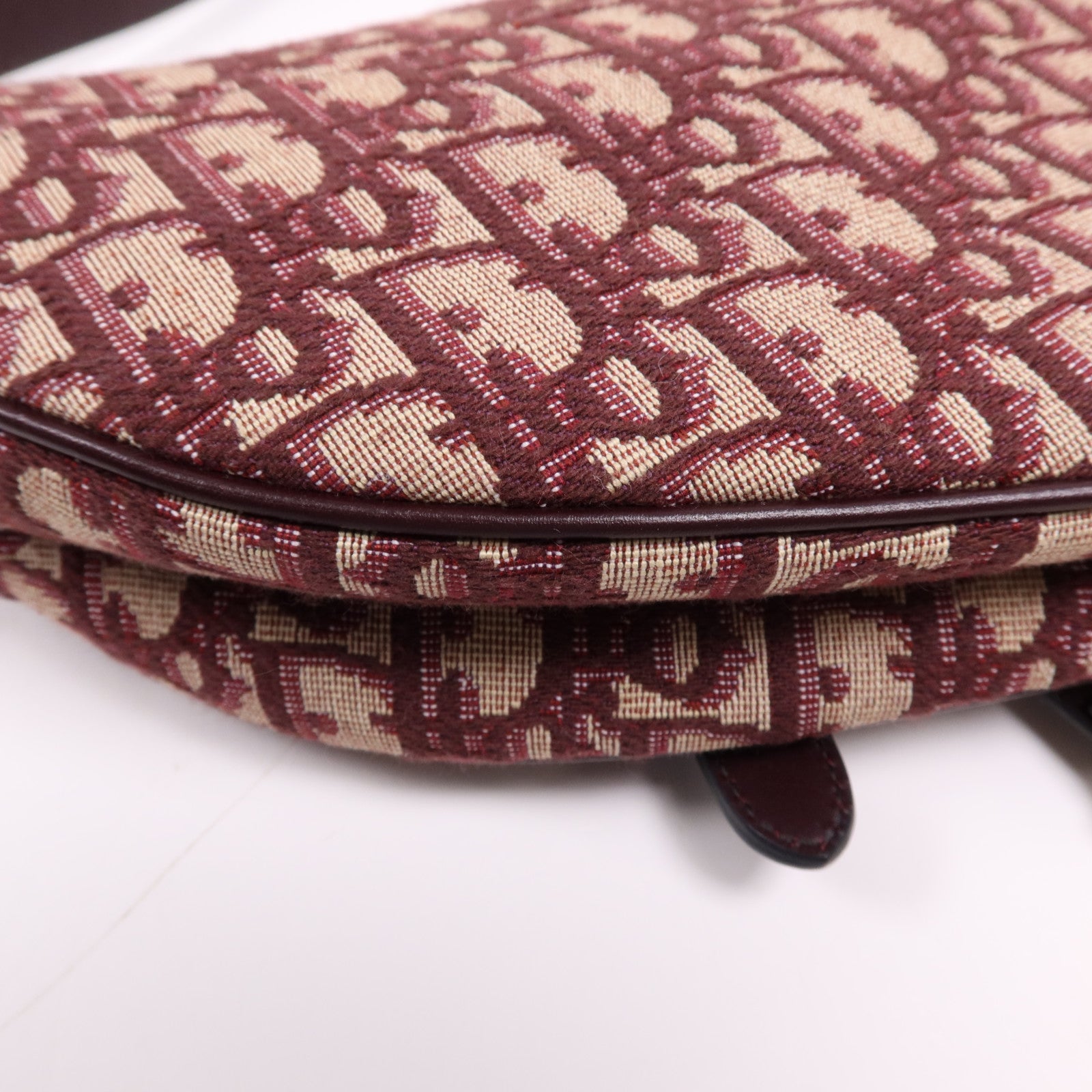 Dior 帆布Mini Saddle金扣手挽袋