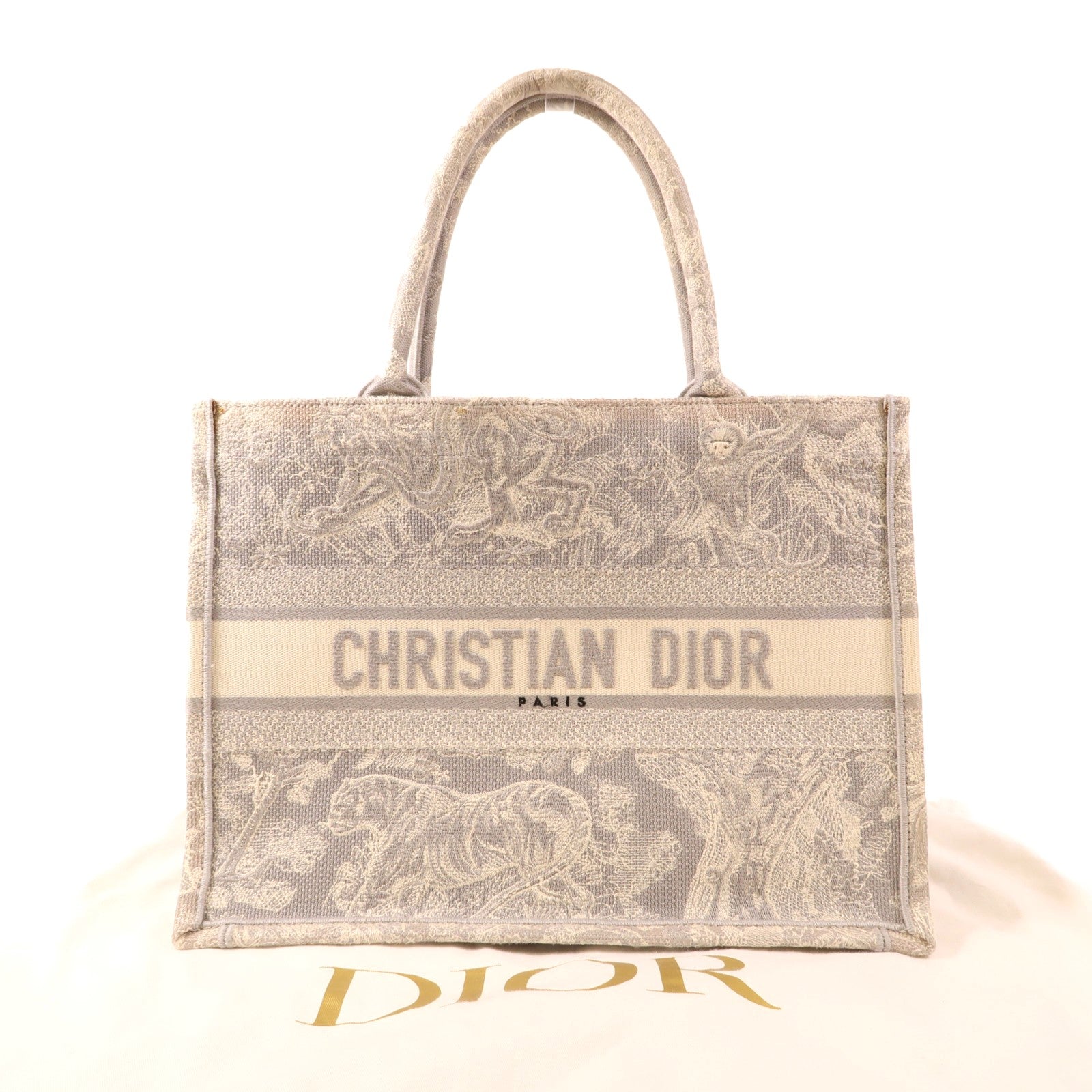 Dior 帆布Book Tote Medium手挽袋