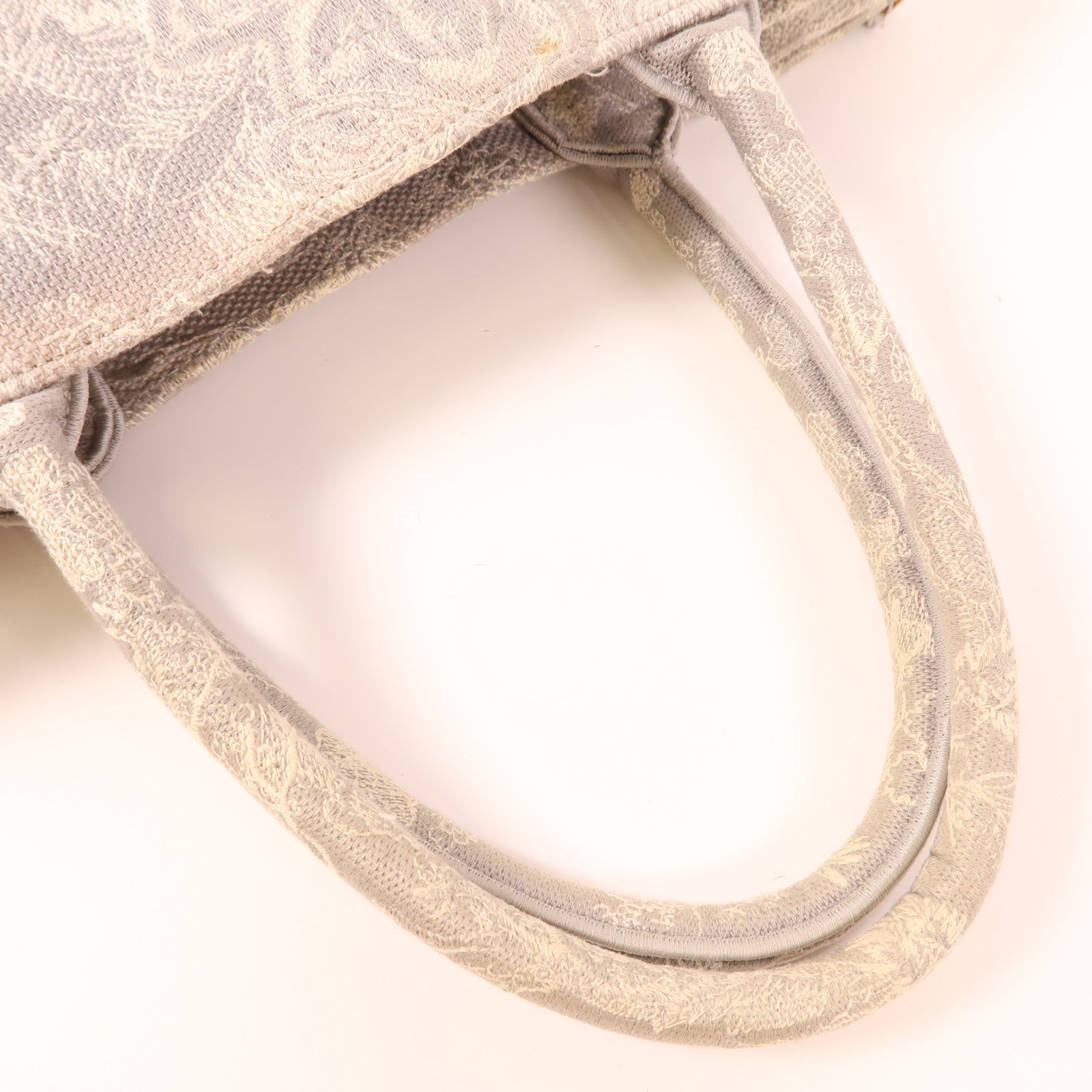 Dior 帆布Book Tote Medium手挽袋