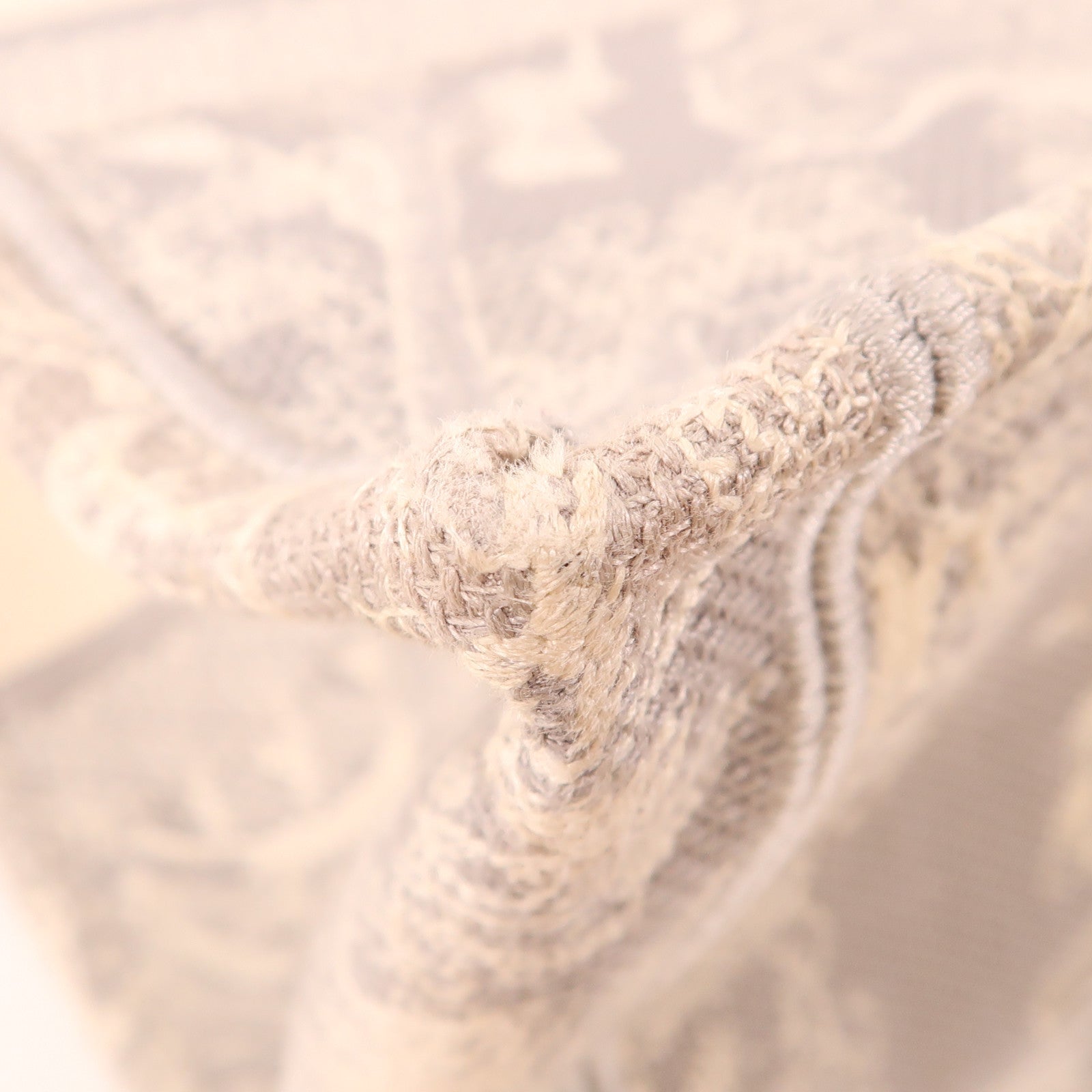 Dior 帆布Book Tote Medium手挽袋