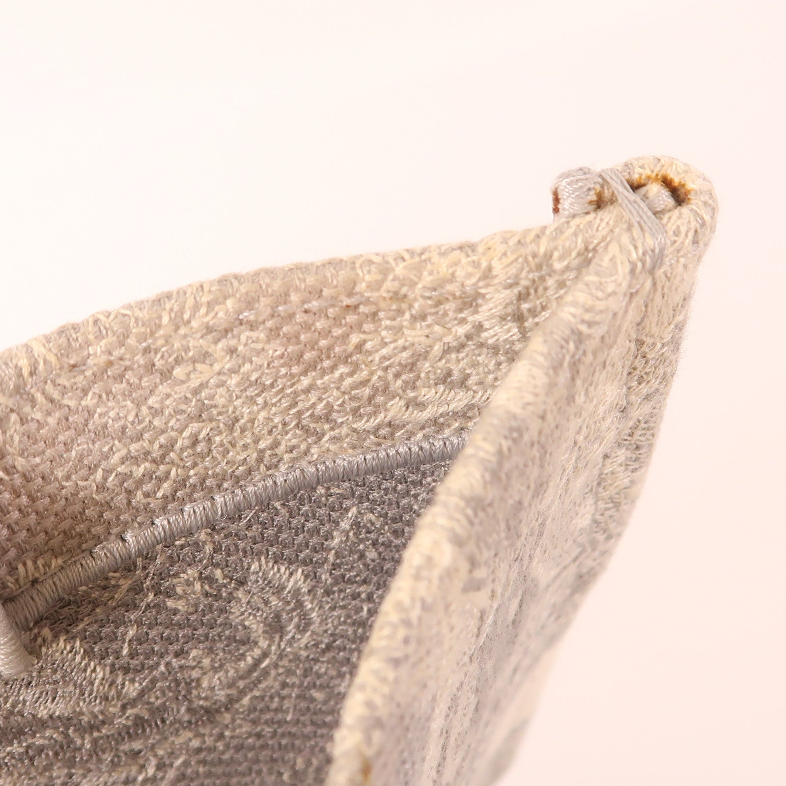 Dior 帆布Book Tote Medium手挽袋