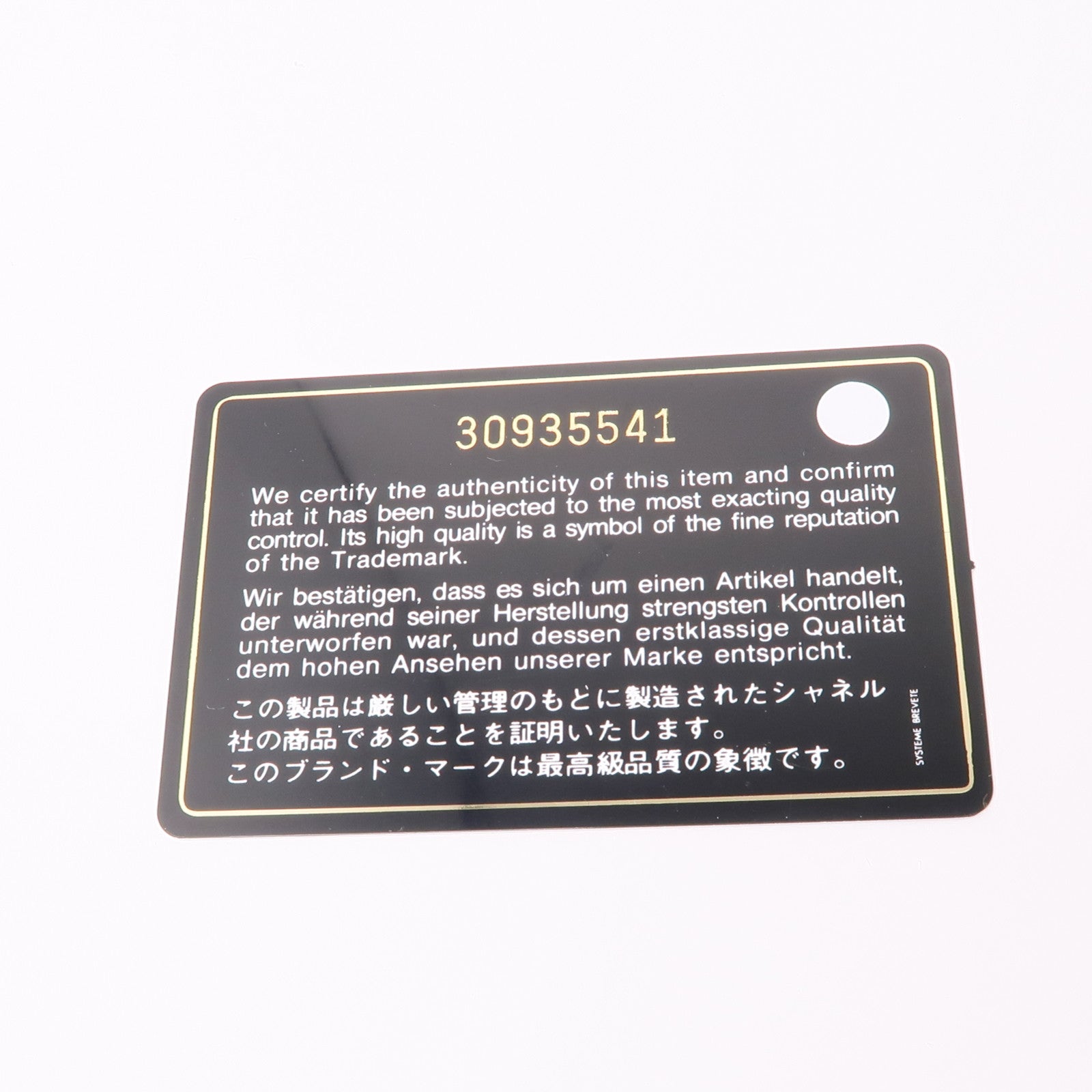 CHANEL 皮革Chanel 19 Pouch金扣手拿包黑色