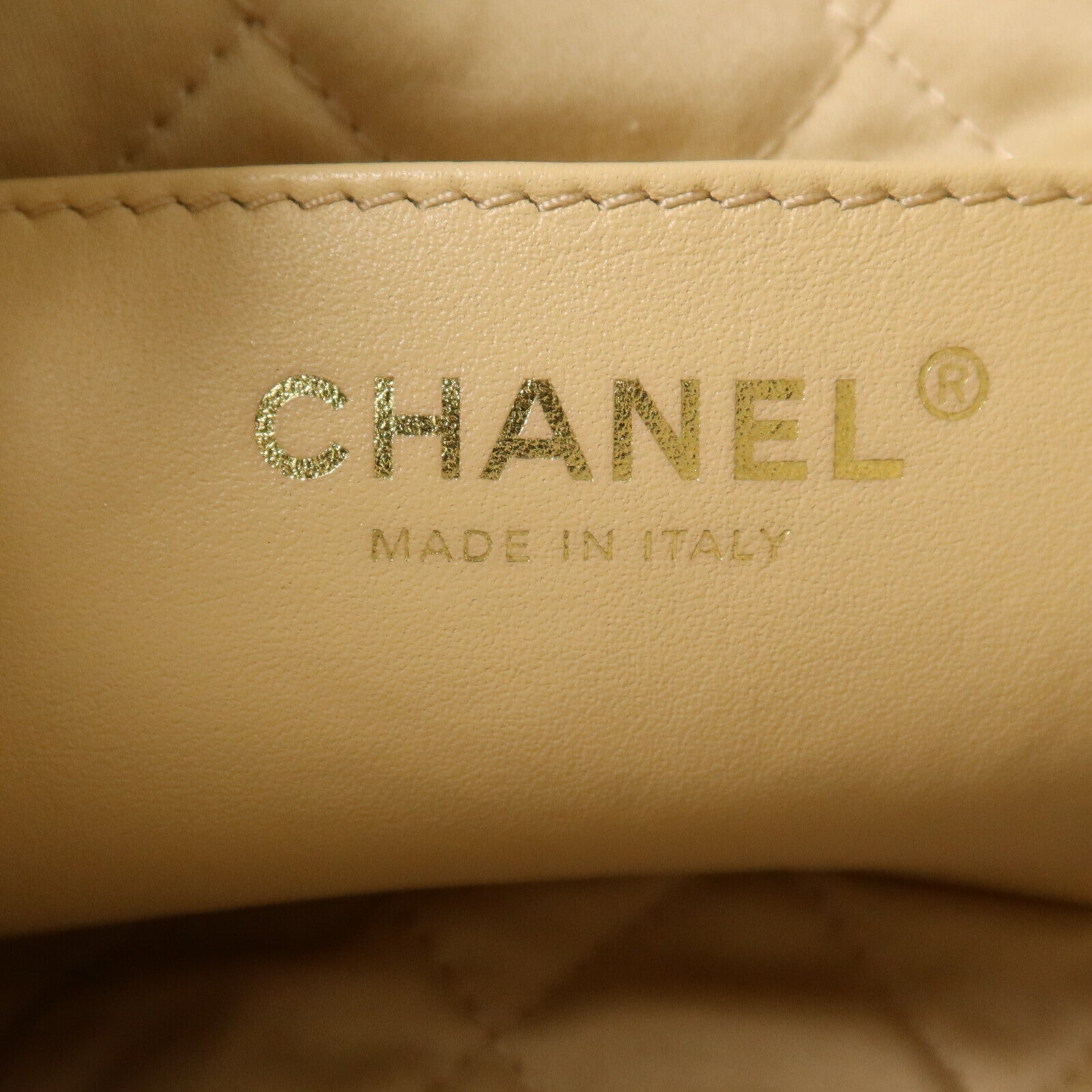 CHANEL 牛皮皮革Chanel 22 Mini金扣手挽肩背兩用袋