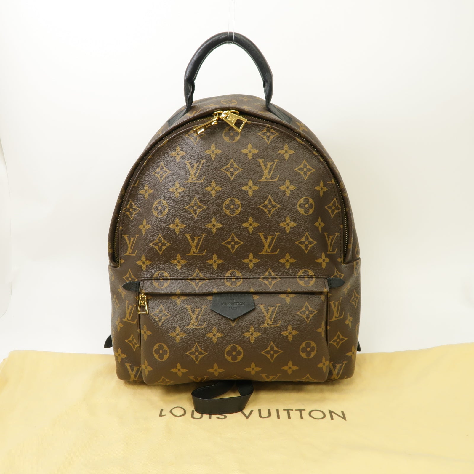 LOUIS VUITTON Monogram Macassar Palm Springs MM