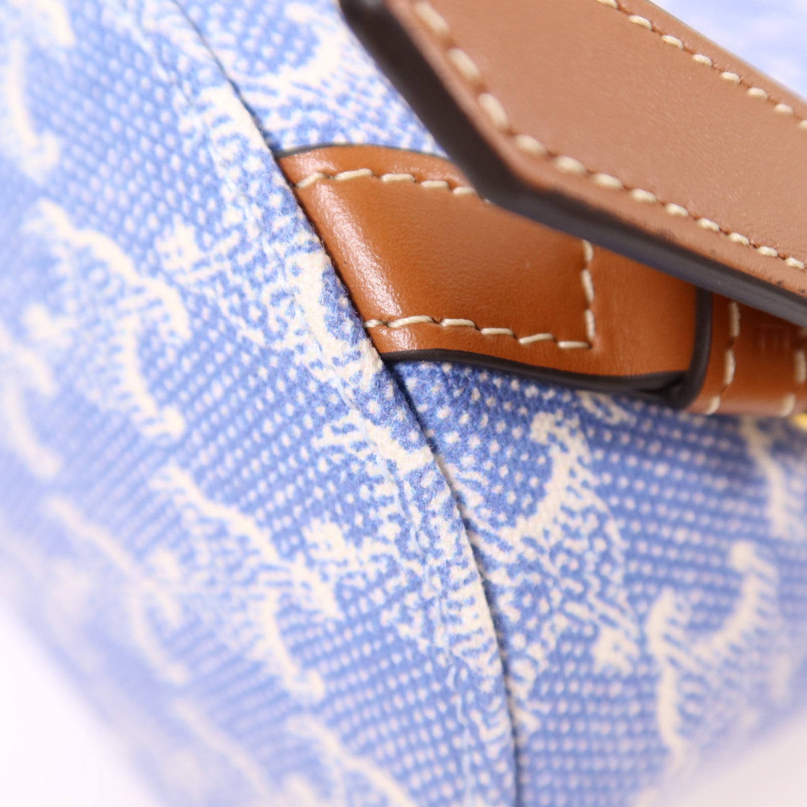 CELINE GHW Bonnie In Textile Backpack Canvas Blue/White/Brown