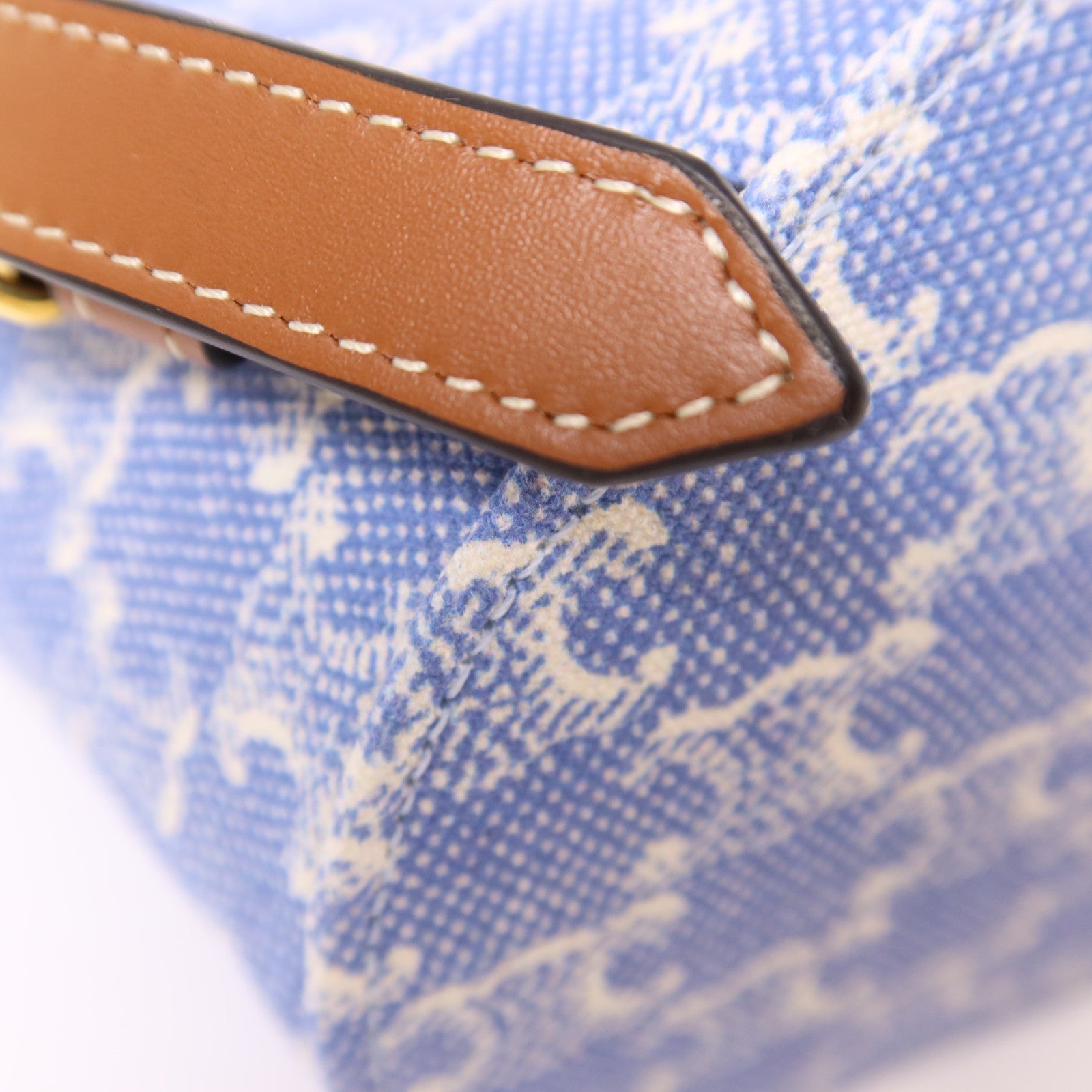 CELINE GHW Bonnie In Textile Backpack Canvas Blue/White/Brown