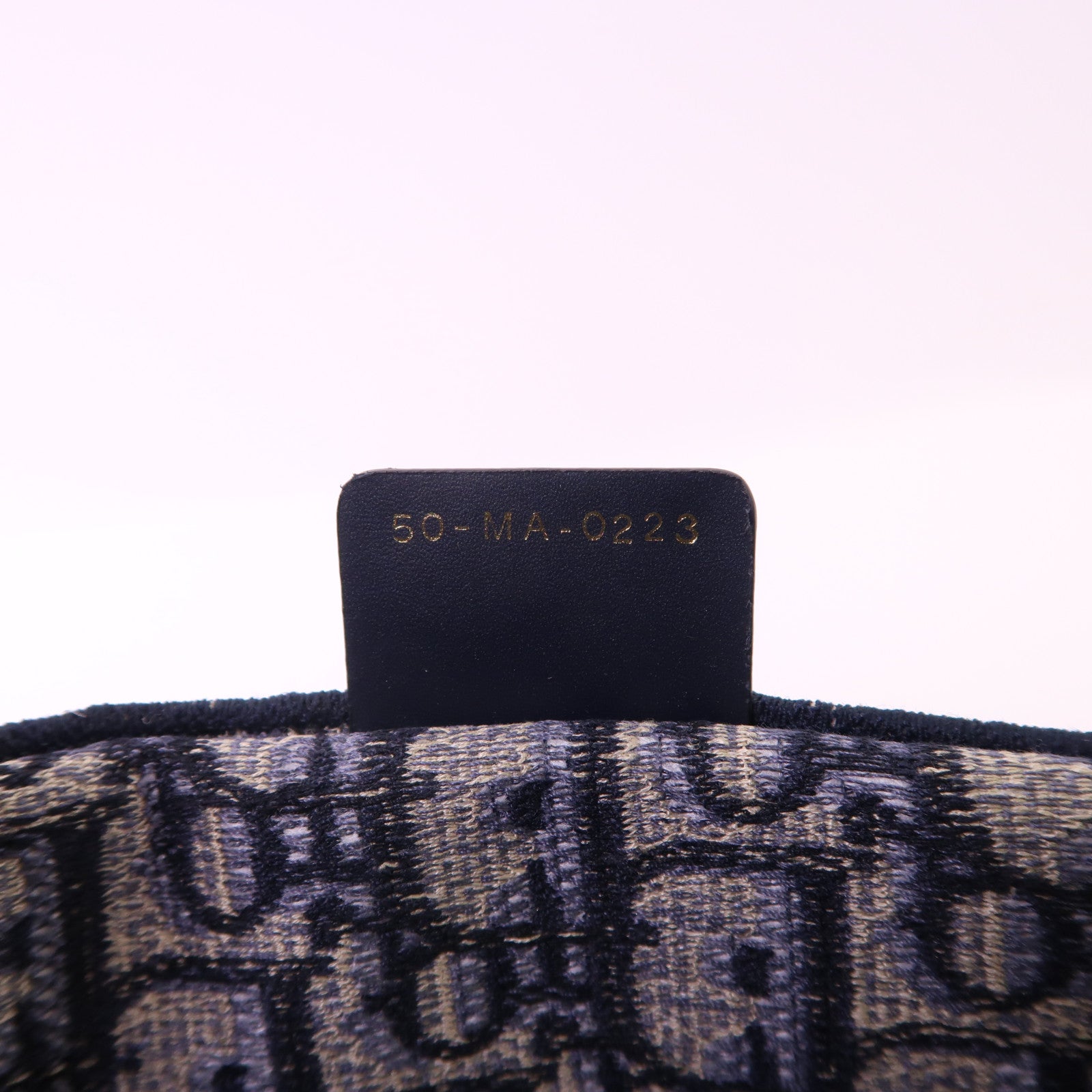 Dior 帆布Book Tote Medium手挽袋