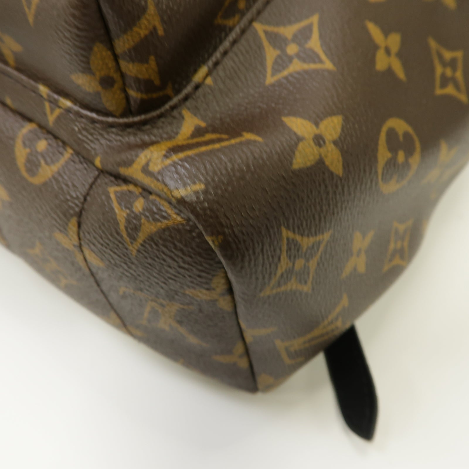 LOUIS VUITTON Monogram Macassar Palm Springs MM