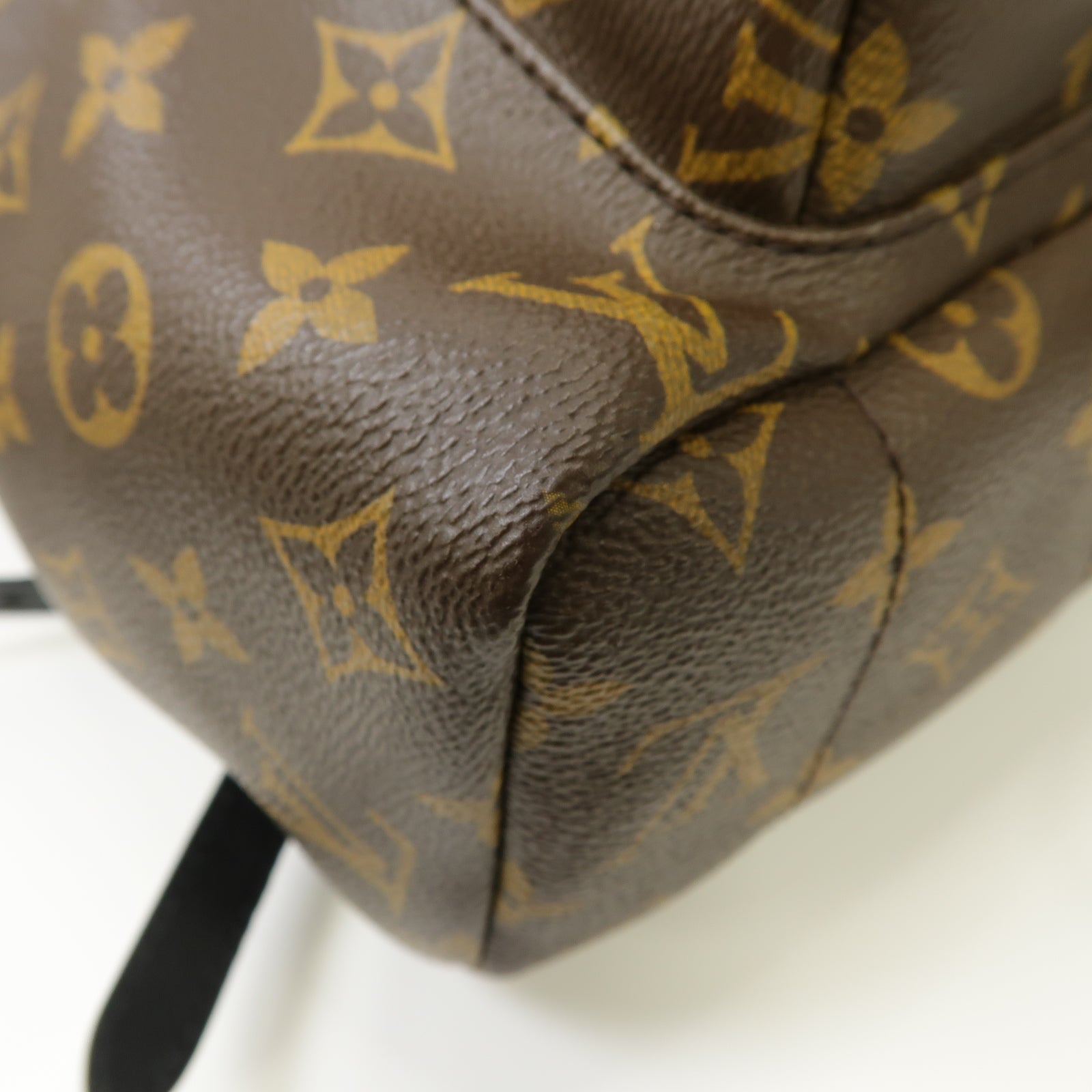 LOUIS VUITTON Monogram Macassar Palm Springs MM