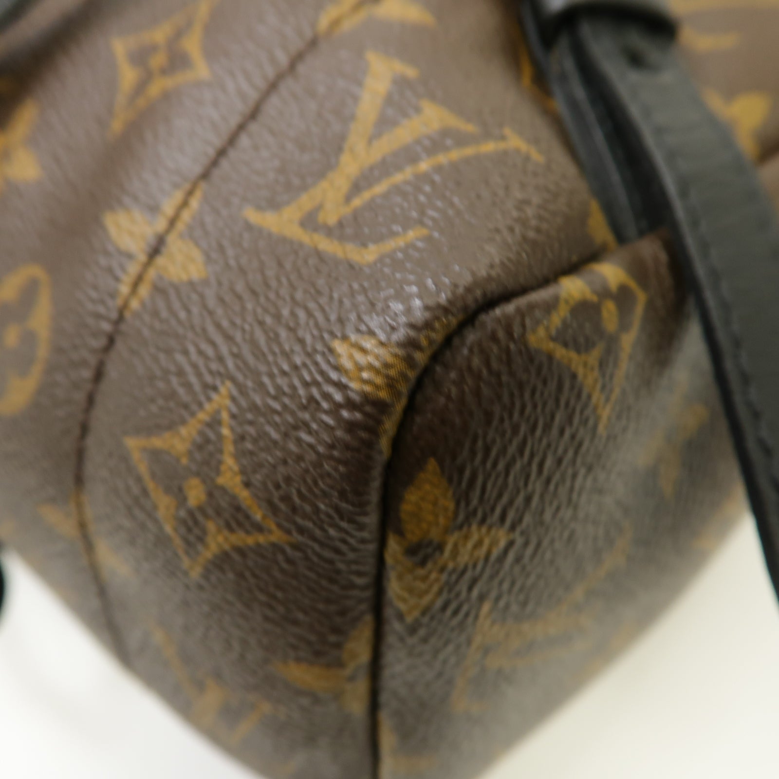 LOUIS VUITTON Monogram Macassar Palm Springs MM
