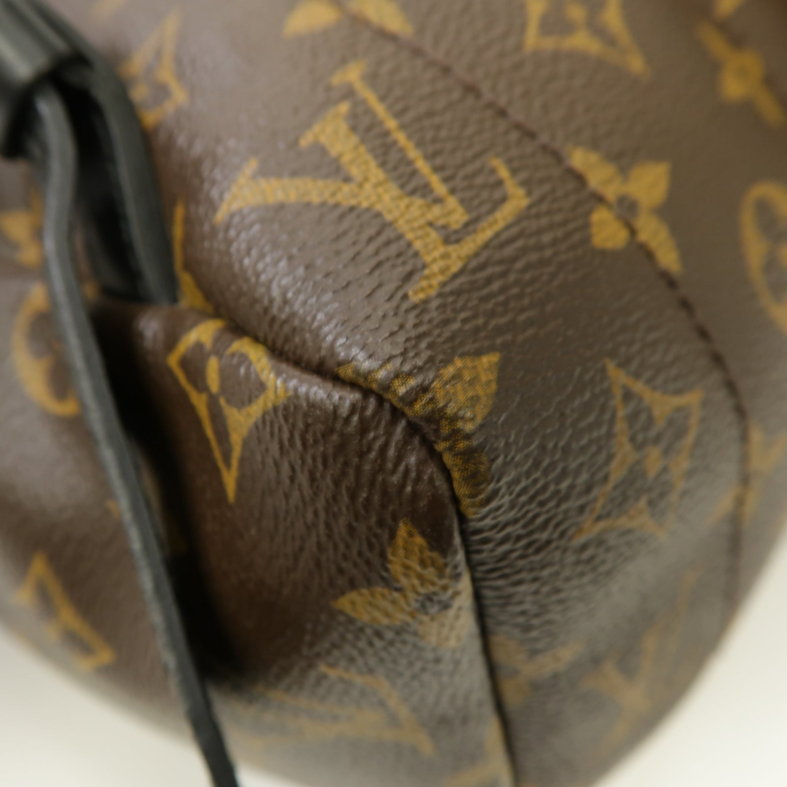 LOUIS VUITTON Monogram Macassar Palm Springs MM