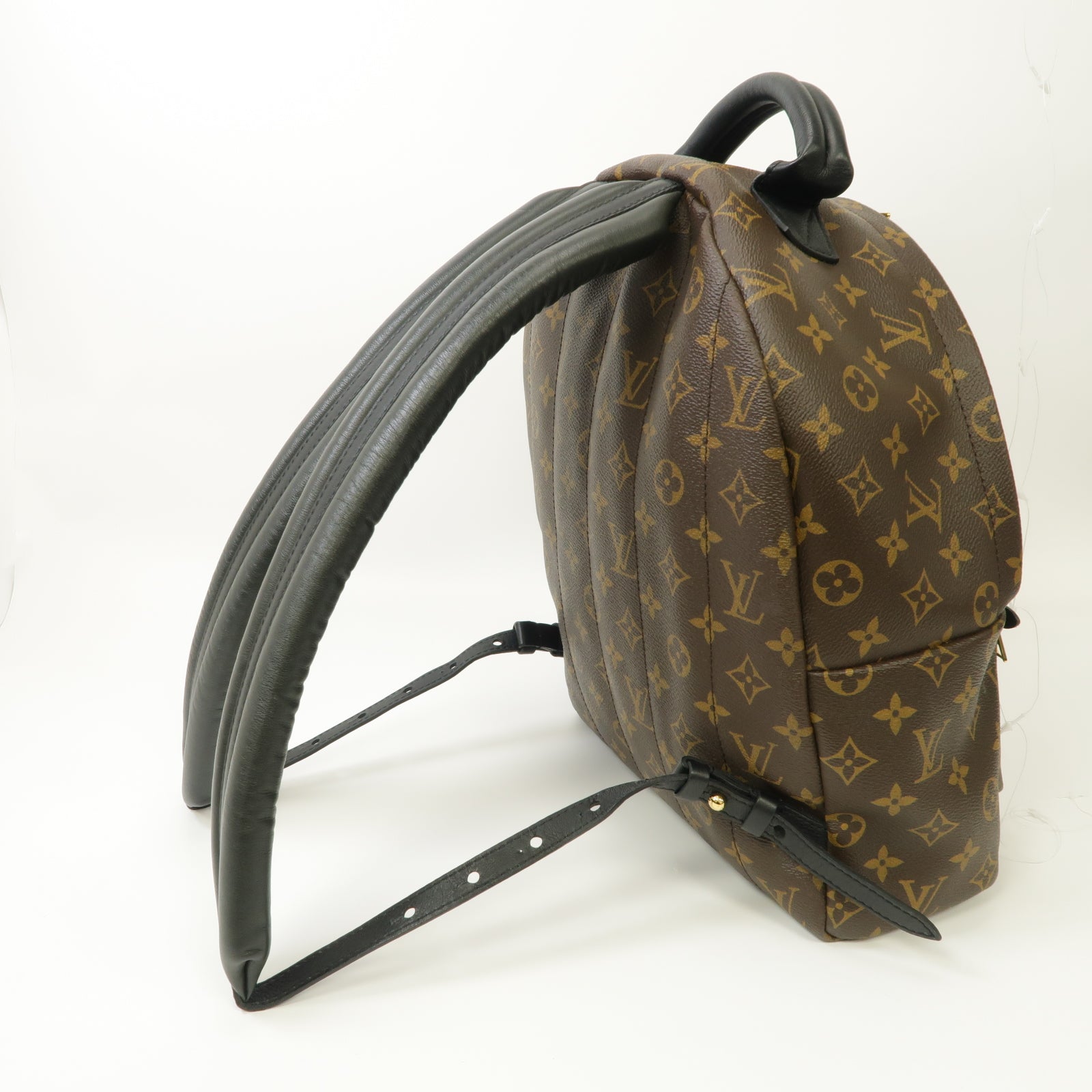 LOUIS VUITTON Monogram Macassar Palm Springs MM