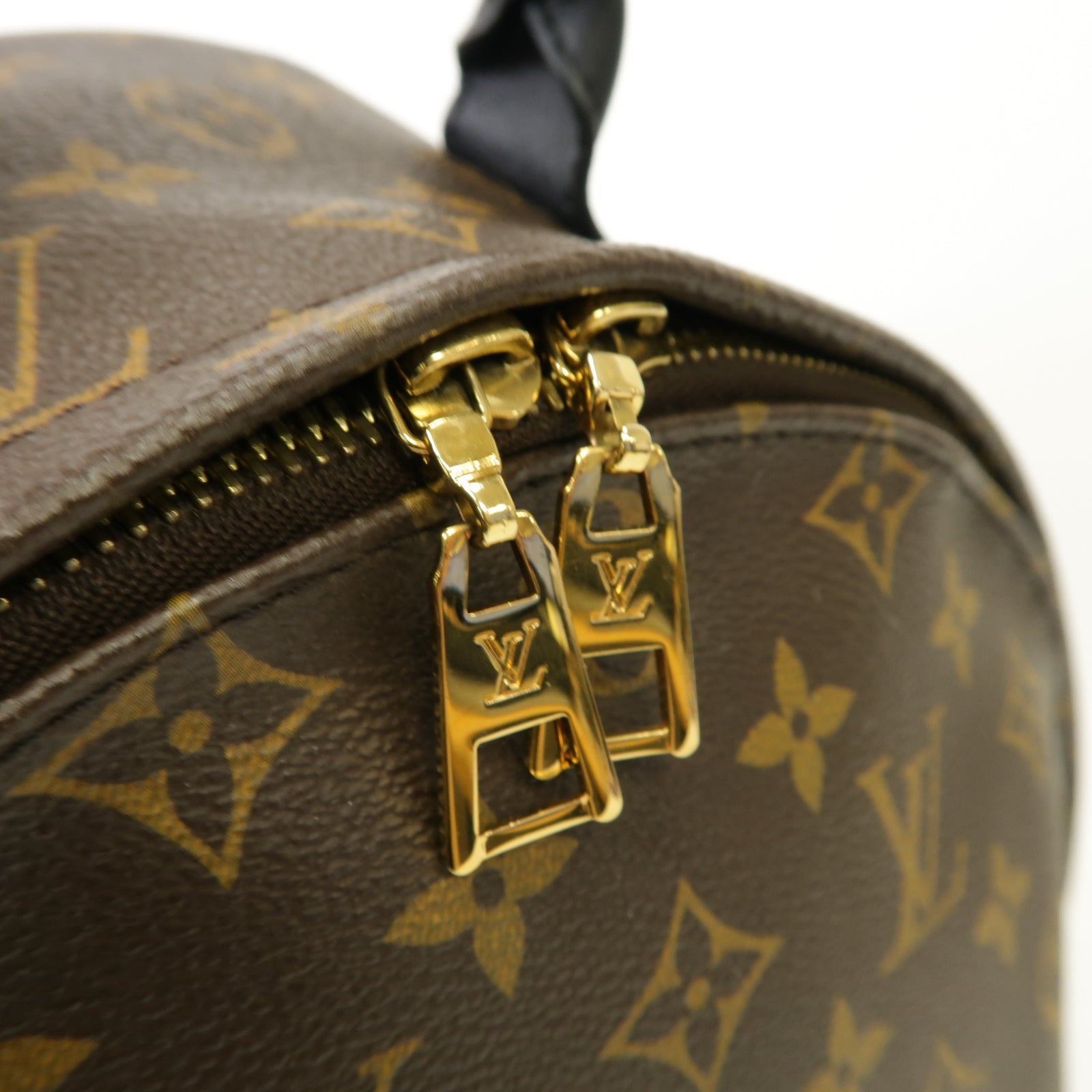 LOUIS VUITTON Monogram Macassar Palm Springs MM
