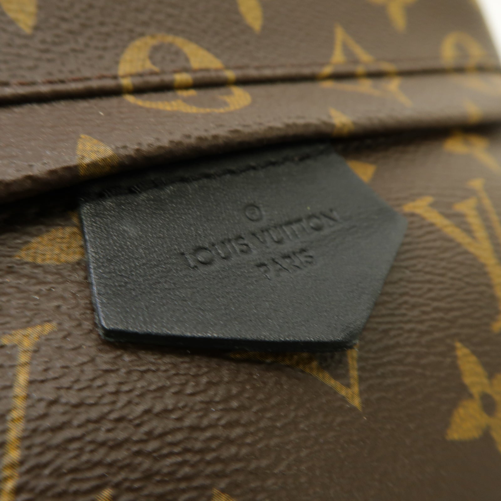 LOUIS VUITTON Monogram Macassar Palm Springs MM