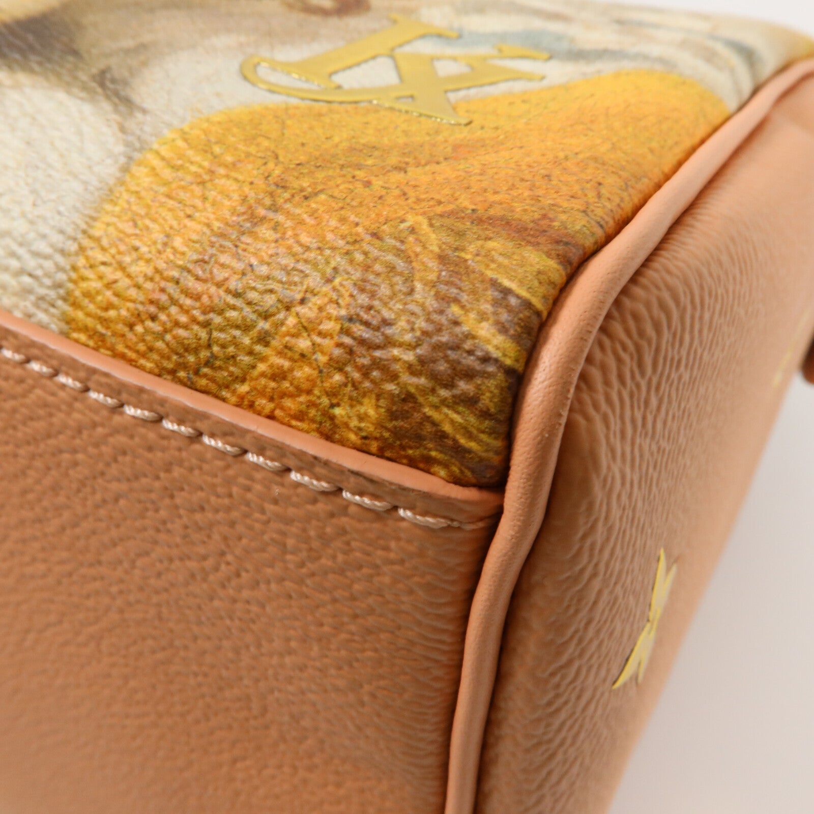 LOUIS VUITTON Monogram Fragonard Speedy 30手挽袋