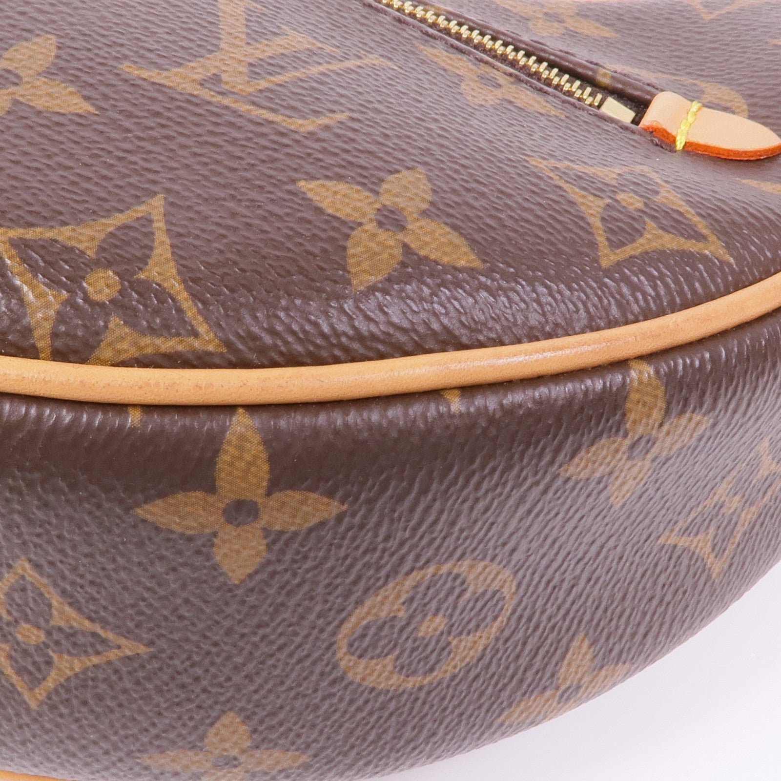 LOUIS VUITTON LV GHW Loop 2 Way Shoulder Bag M81098 Monogram Brown