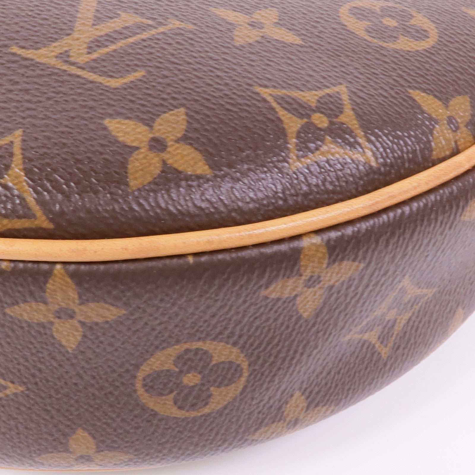 LOUIS VUITTON LV GHW Loop 2 Way Shoulder Bag M81098 Monogram Brown