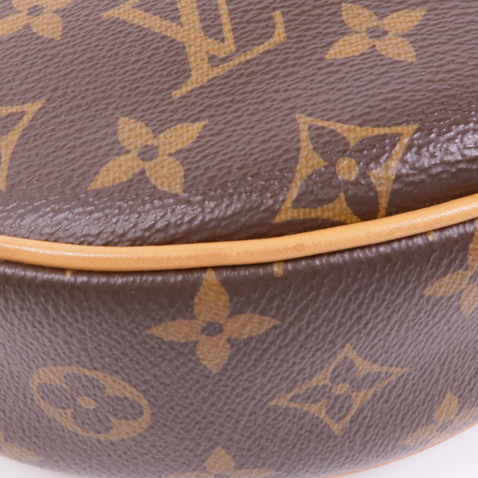 LOUIS VUITTON LV GHW Loop 2 Way Shoulder Bag M81098 Monogram Brown