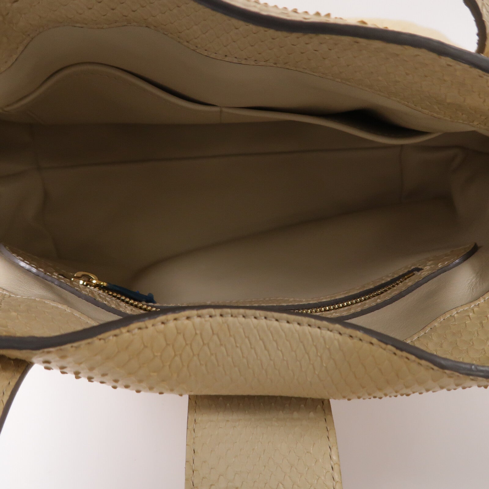 LOUIS VUITTON 蛇皮皮革Cirrus PM手挽袋