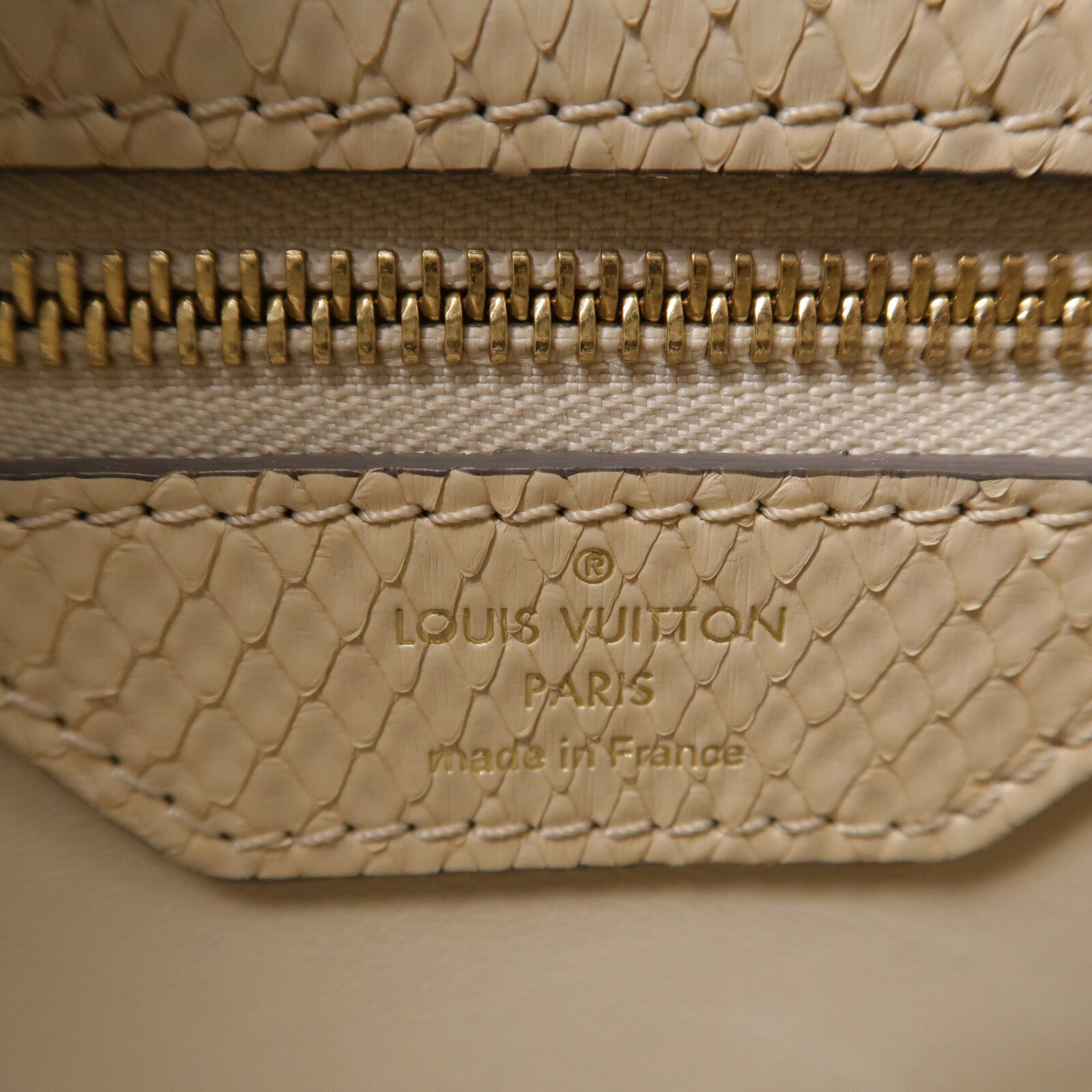 LOUIS VUITTON 蛇皮皮革Cirrus PM手挽袋
