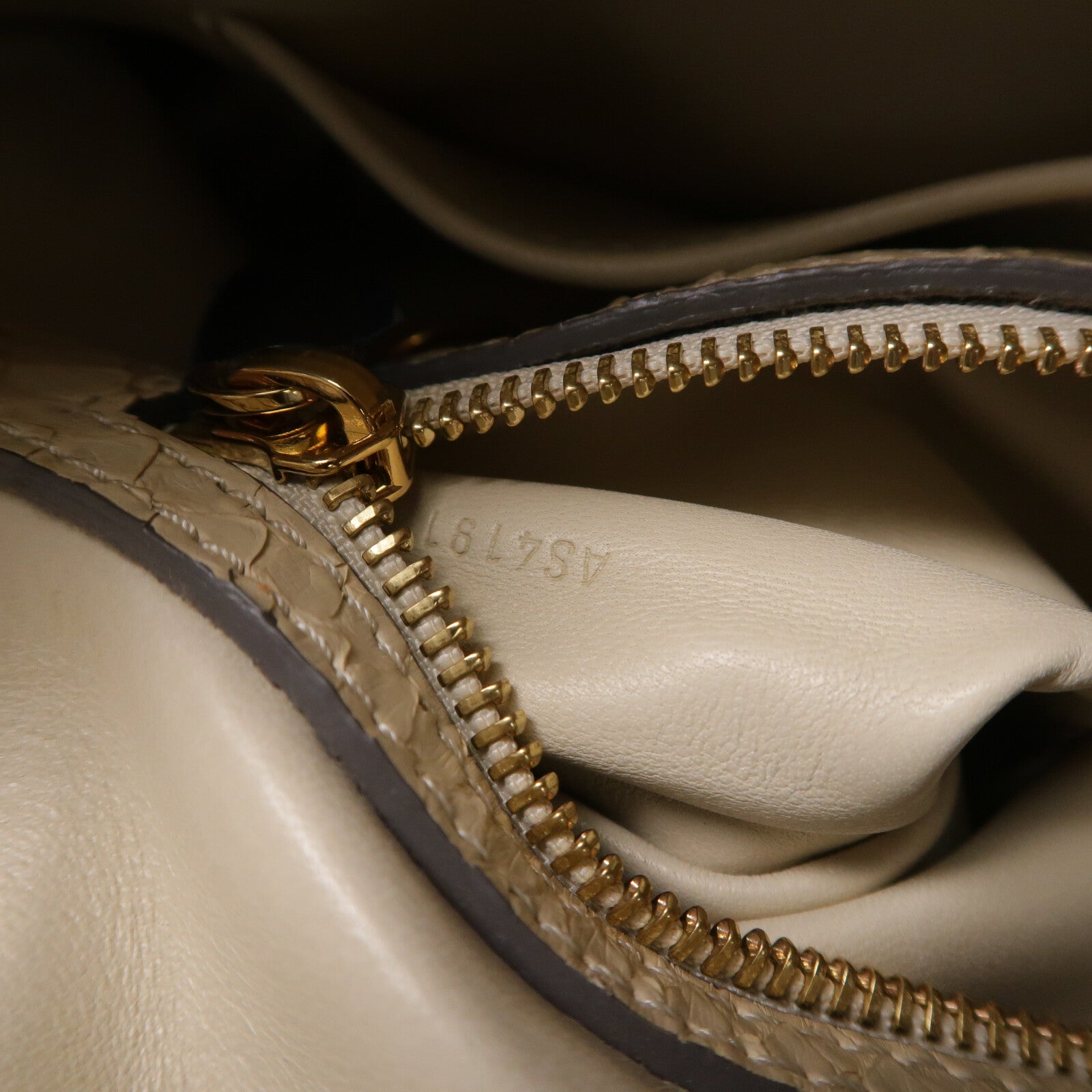 LOUIS VUITTON 蛇皮皮革Cirrus PM手挽袋