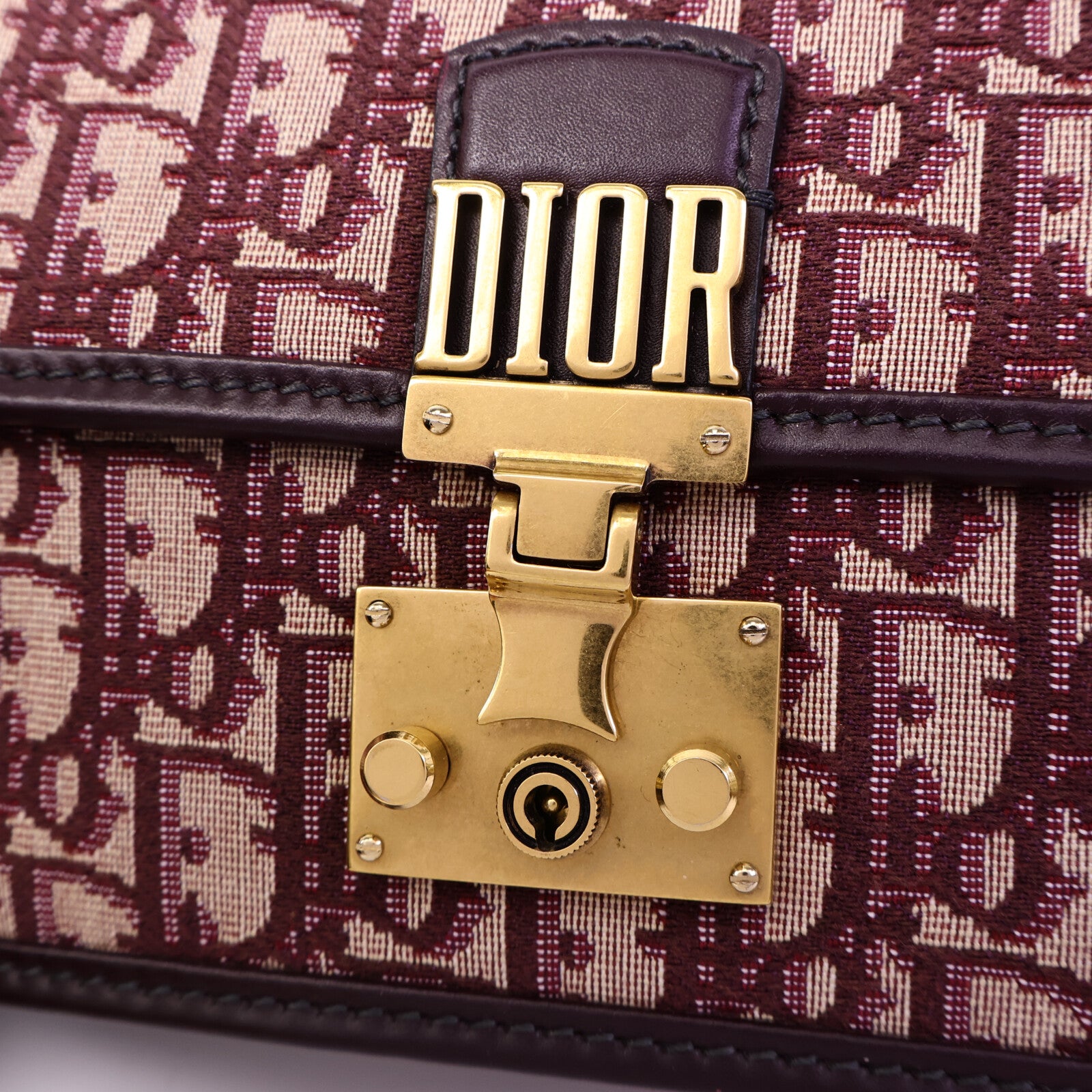 Dior 帆布Dioraddict肩背袋