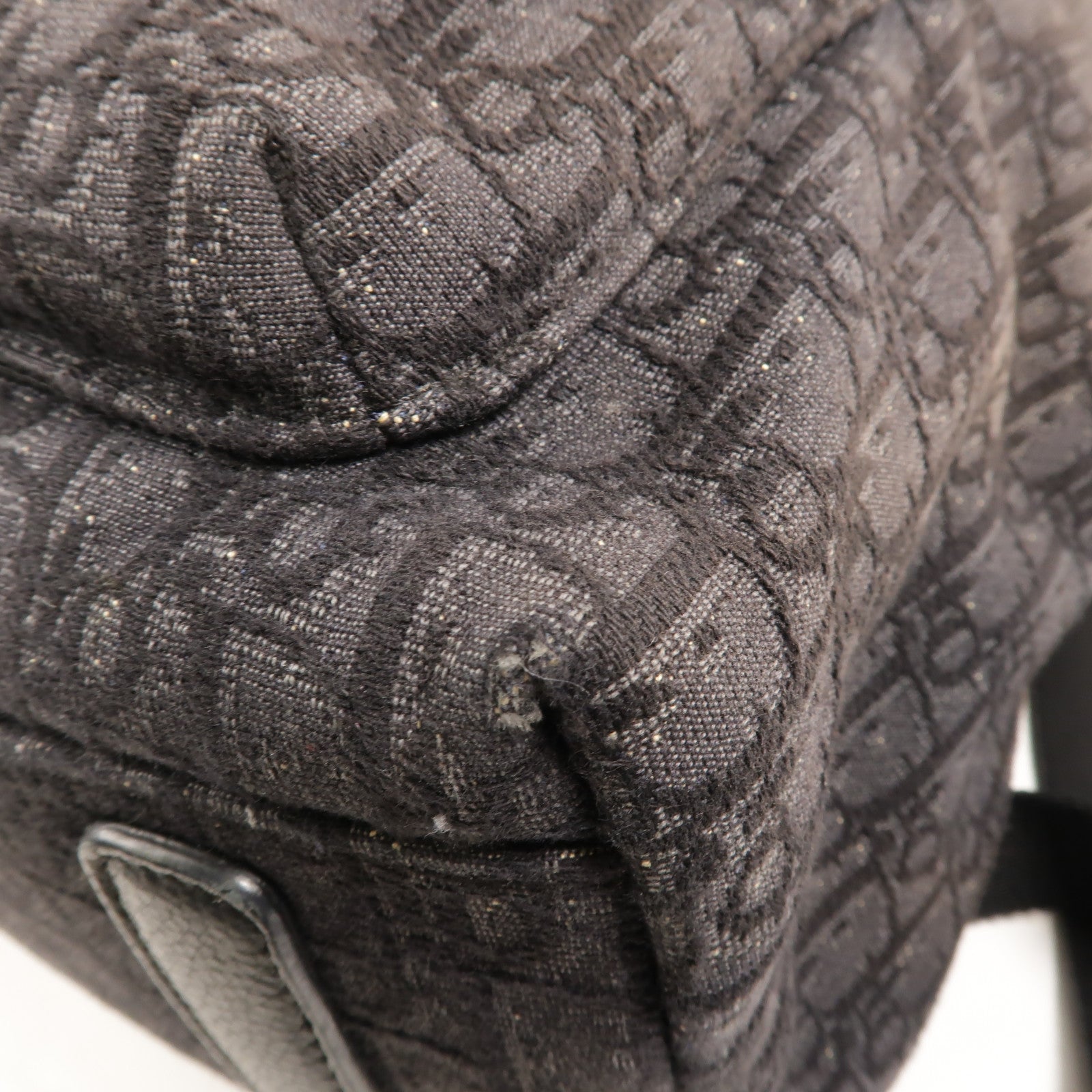Dior 帆布Rider Backpack背包