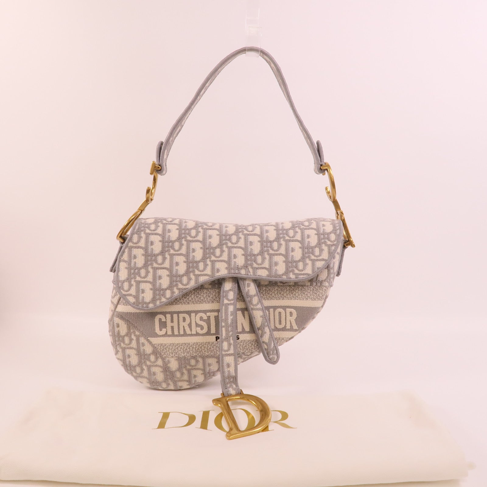 Dior 帆布Saddle Medium肩背袋