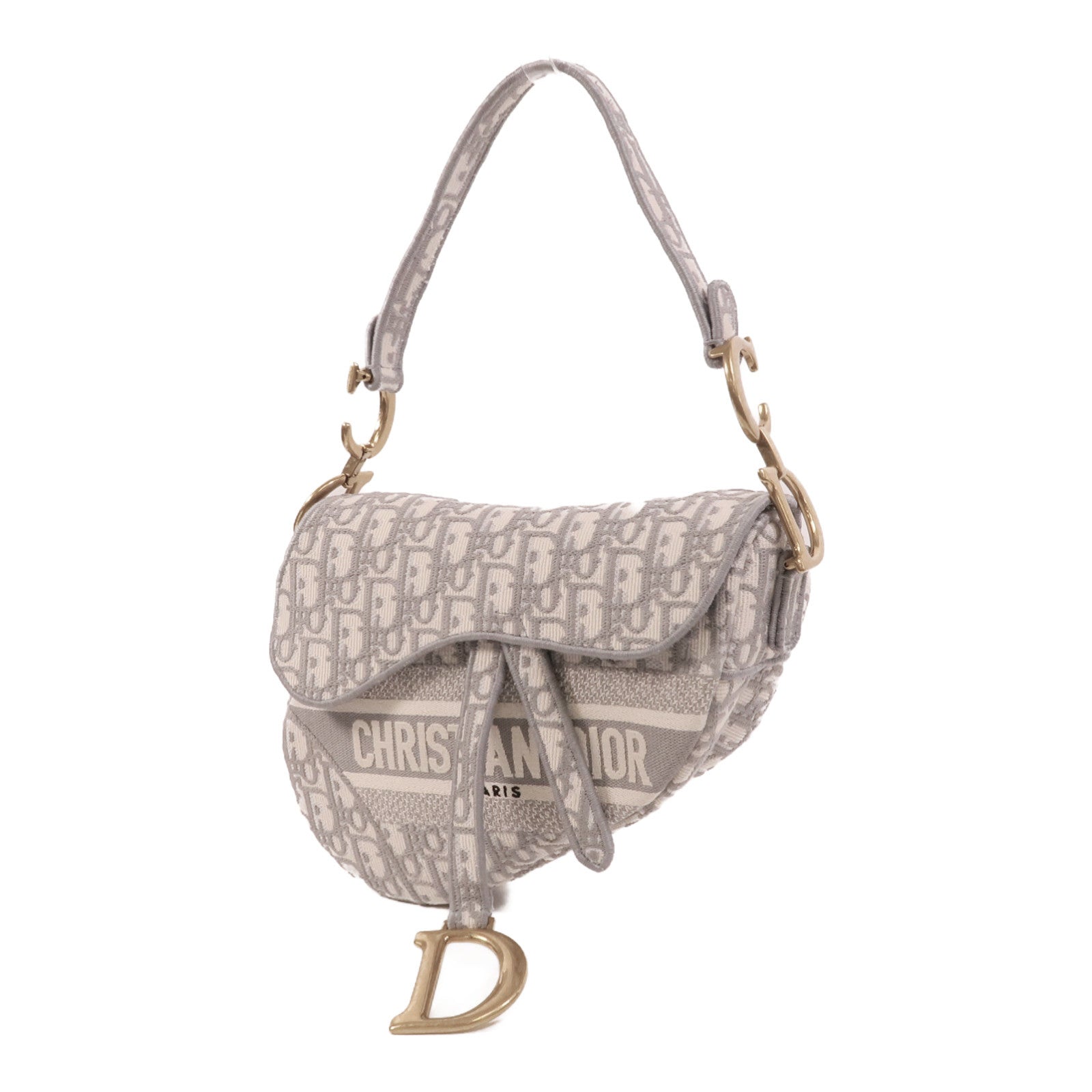 Dior 帆布Saddle Medium肩背袋