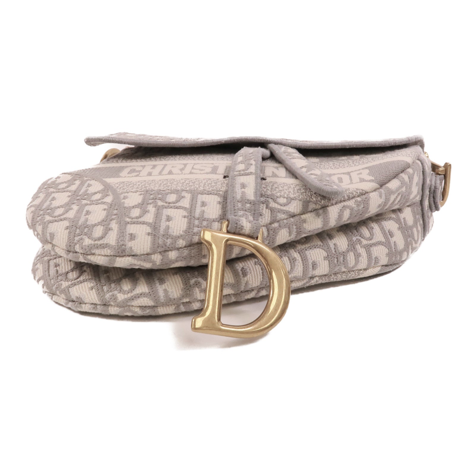 Dior 帆布Saddle Medium肩背袋