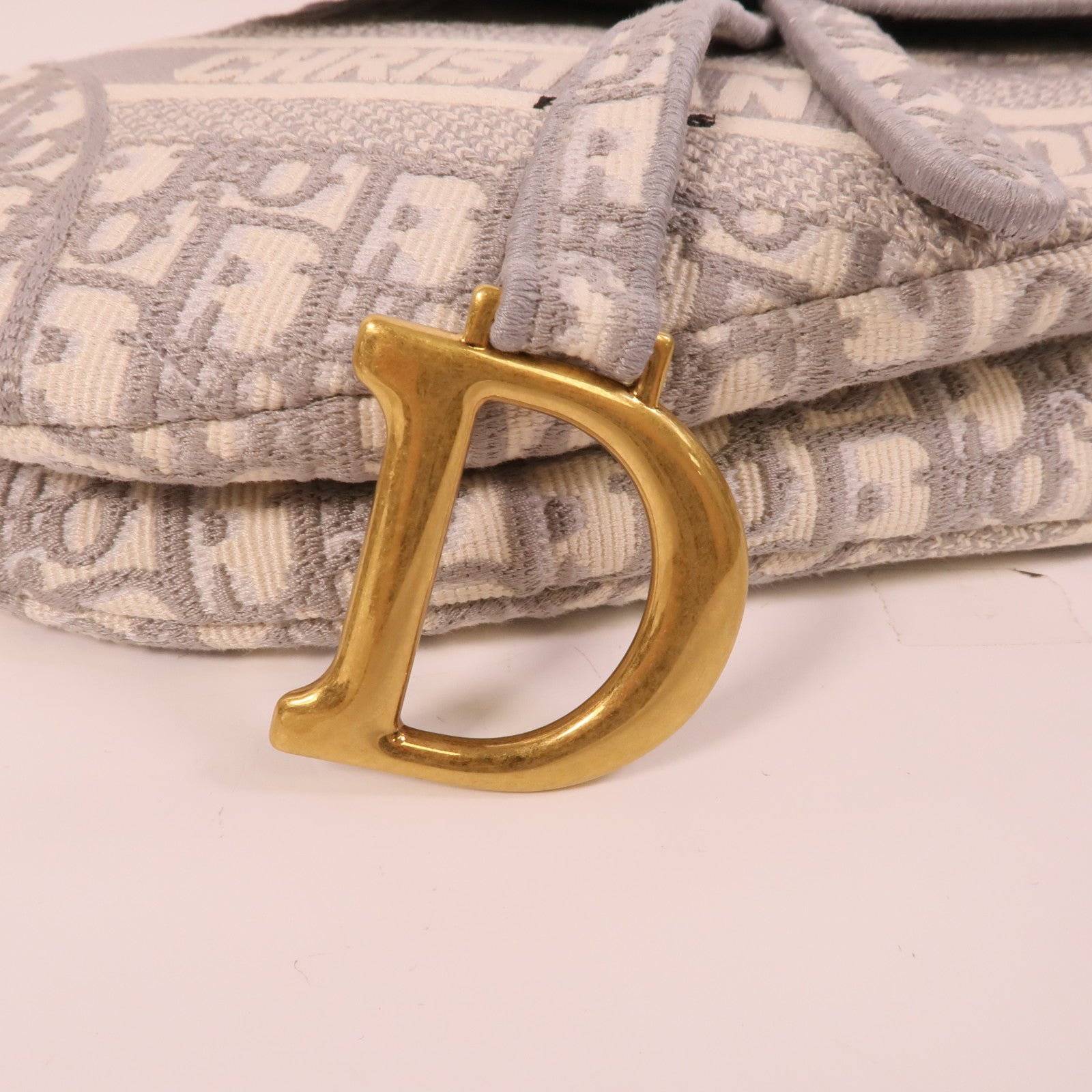 Dior 帆布Saddle Medium肩背袋