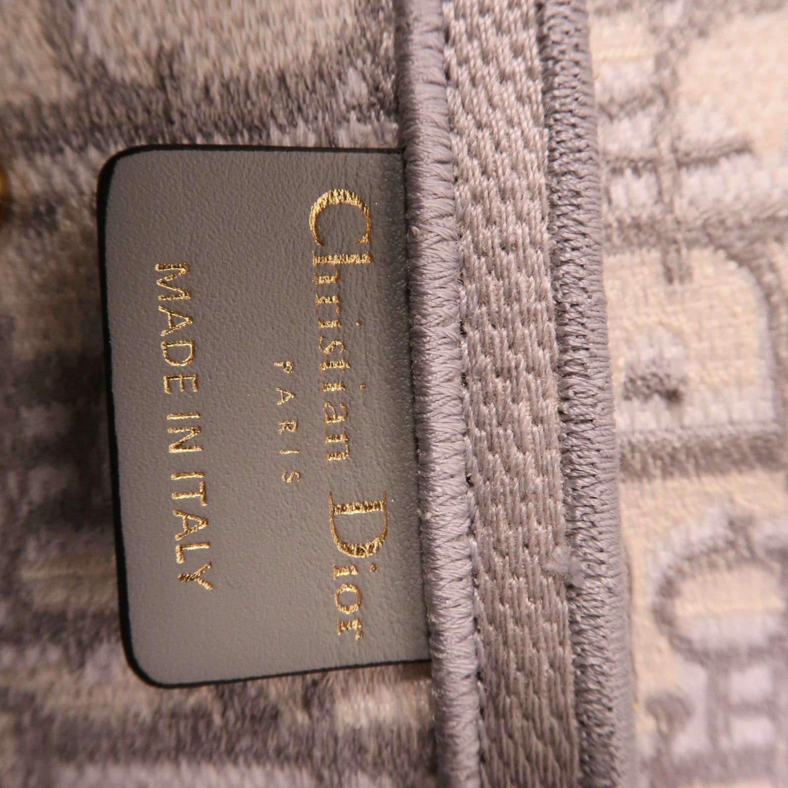 Dior 帆布Saddle Medium肩背袋