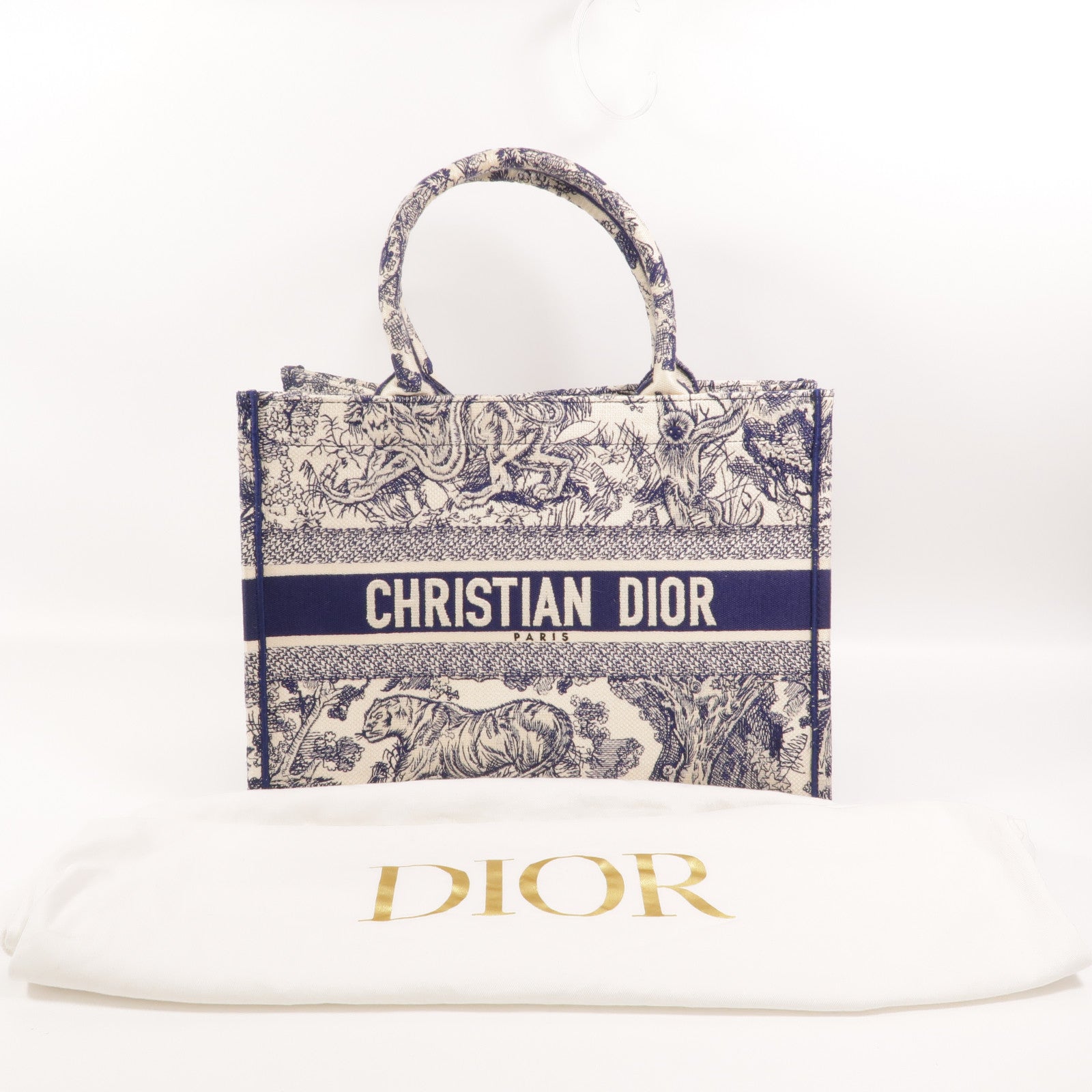 Dior 帆布Book Tote Medium手挽袋